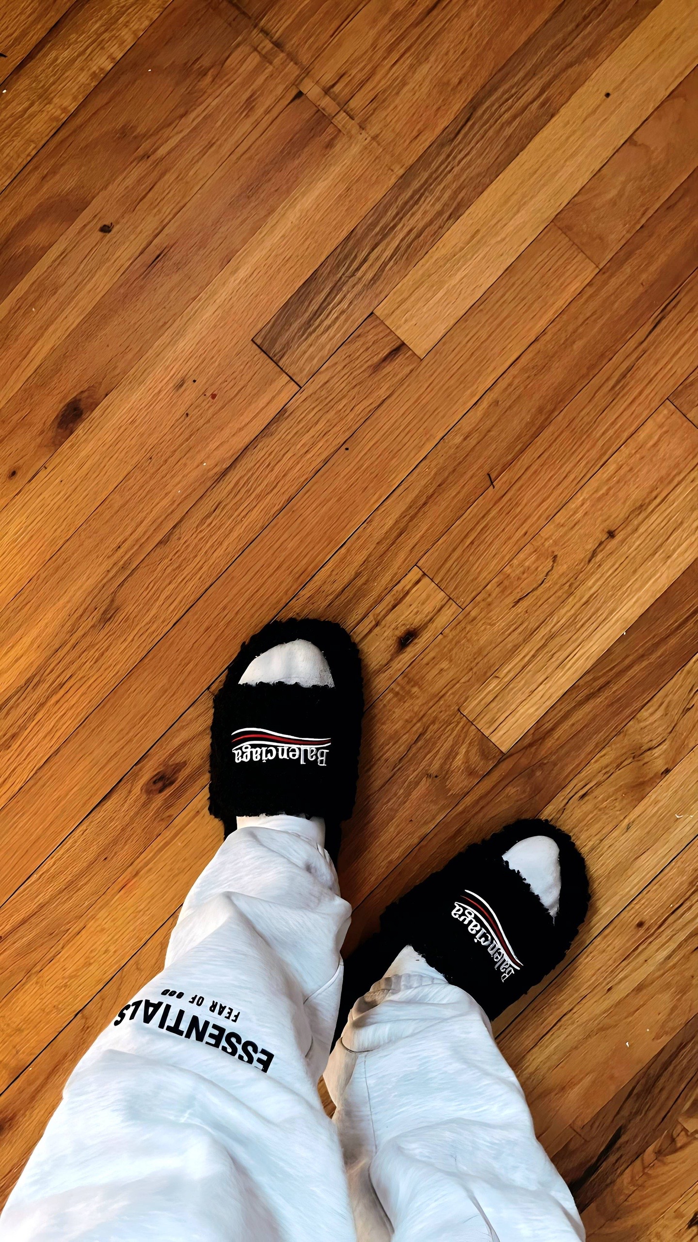 @Chase🦇