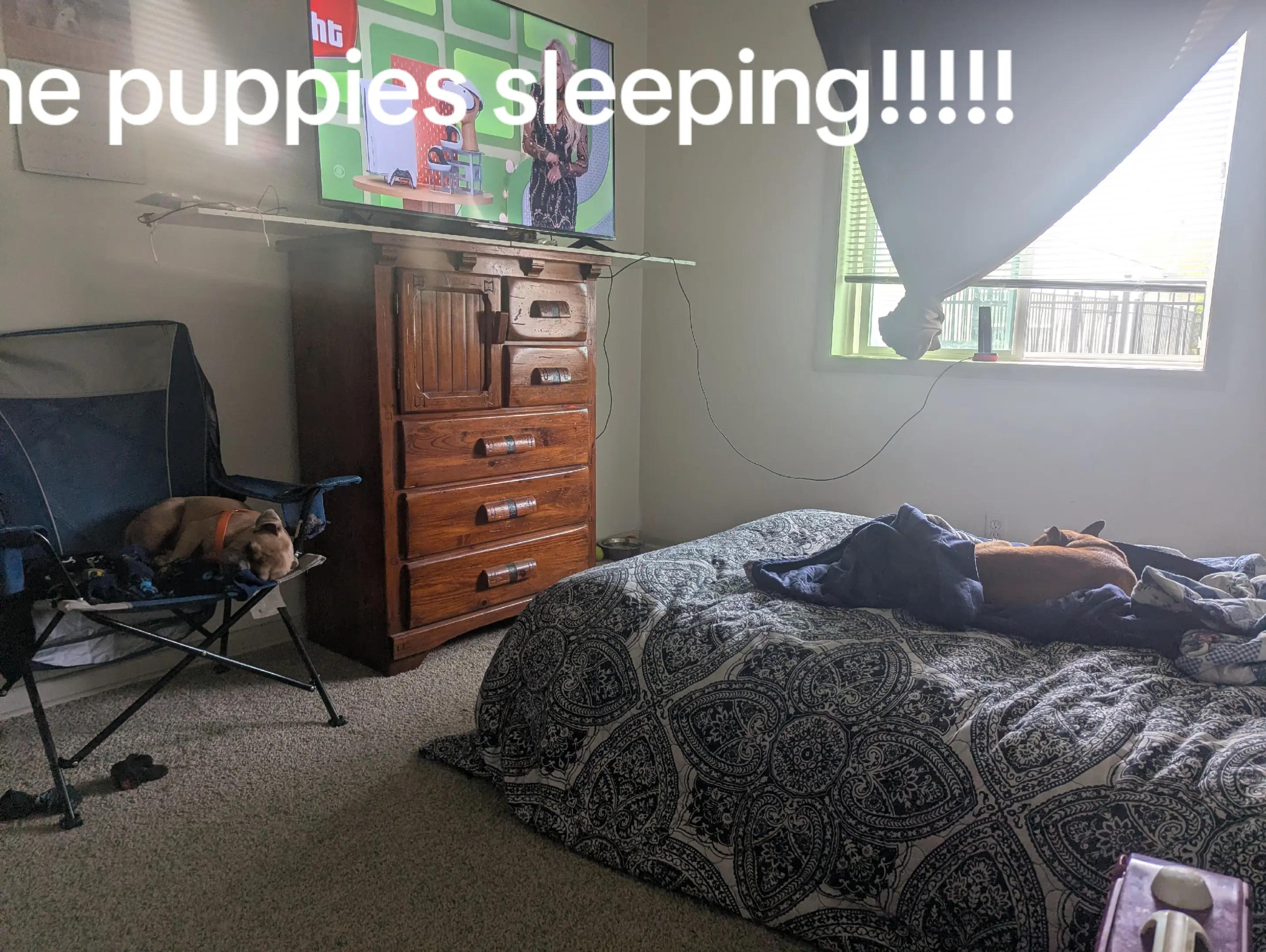 @shugabear420