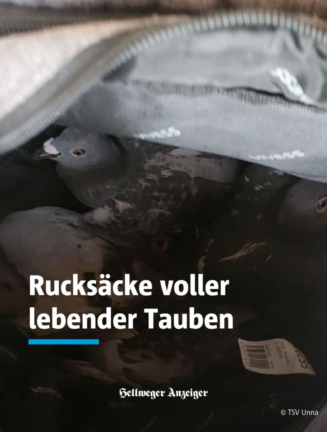 @Hellweger&ensp;Anzeiger