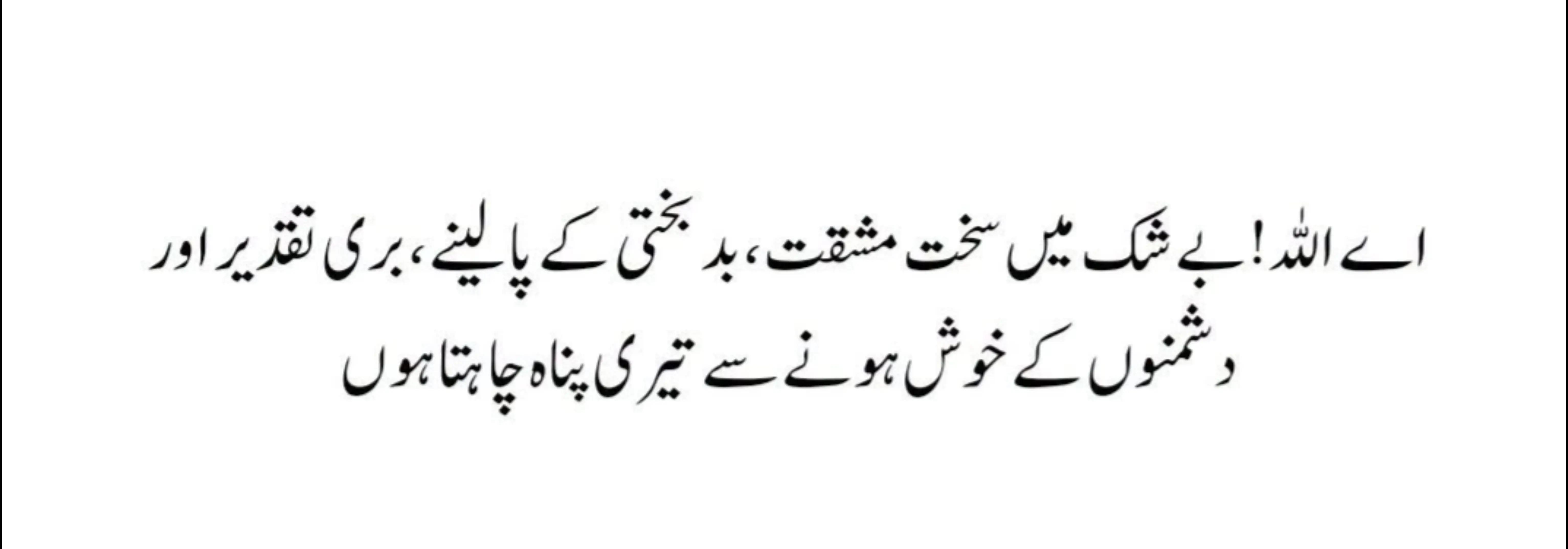 @Mishi Khan