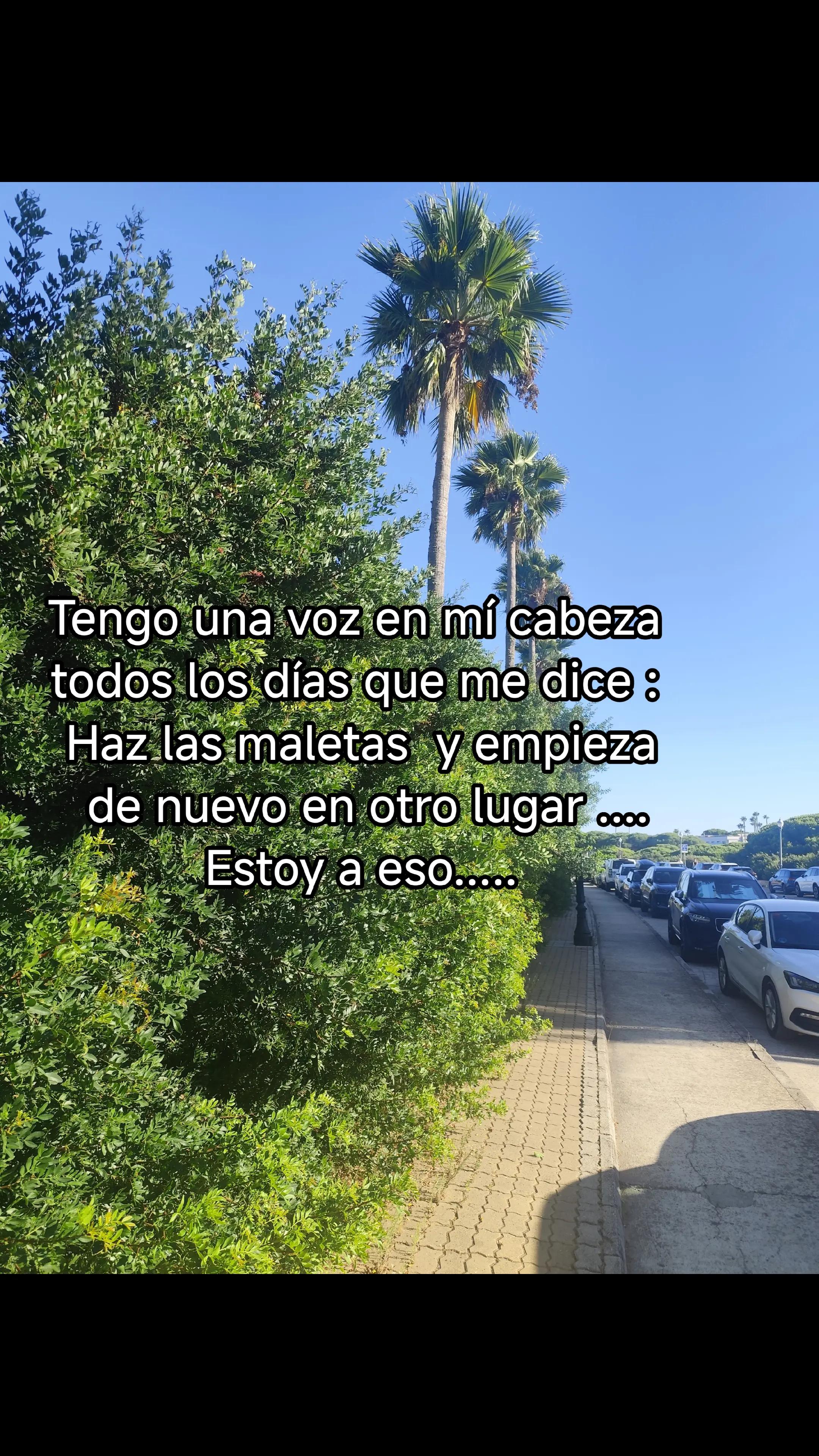 @Alda