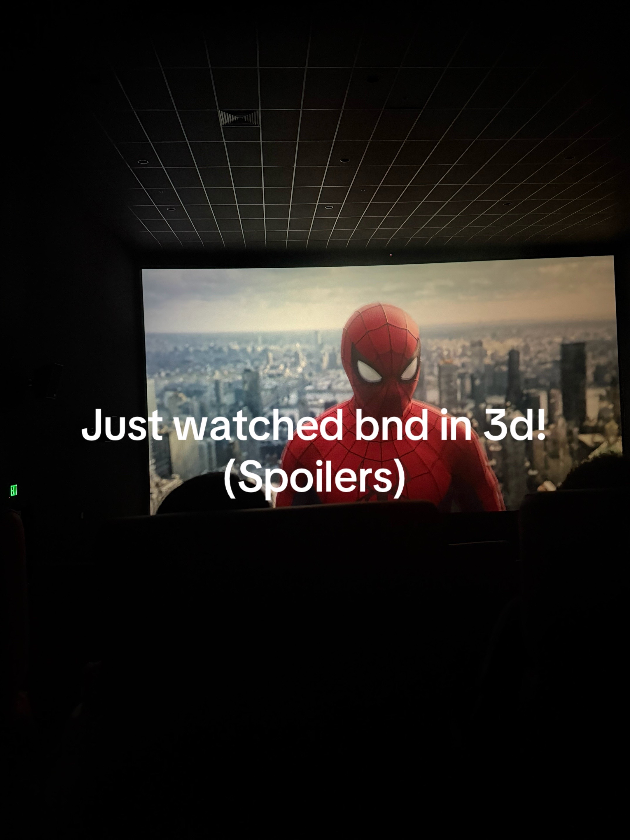 @🕷️spiderfigs🕸️