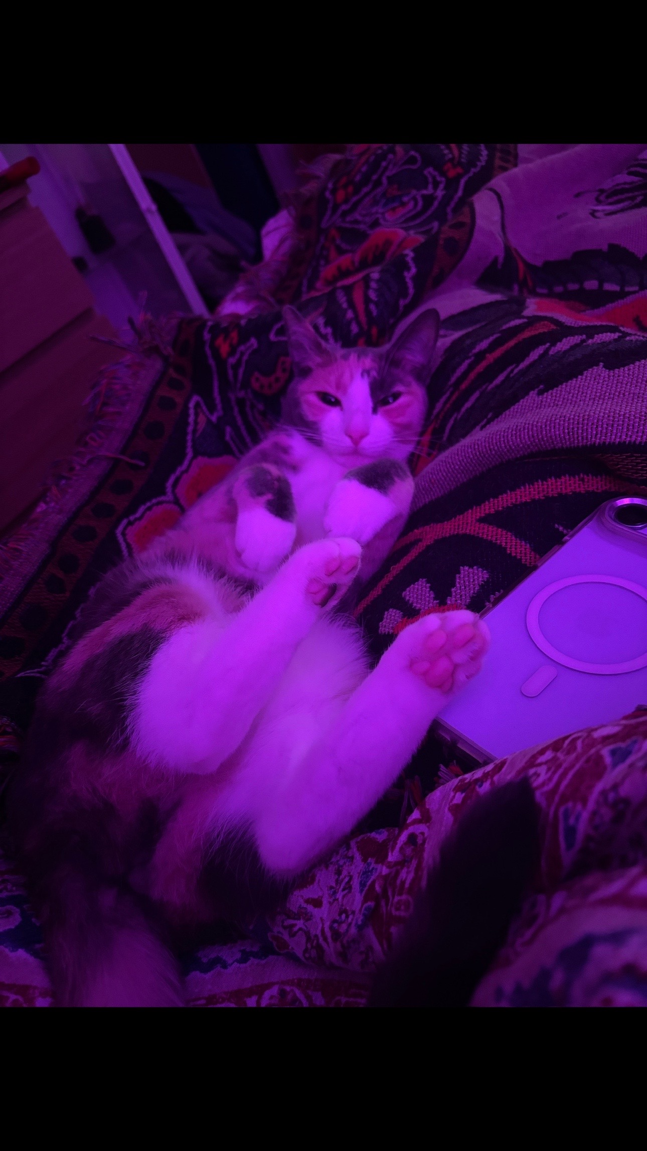 @😛