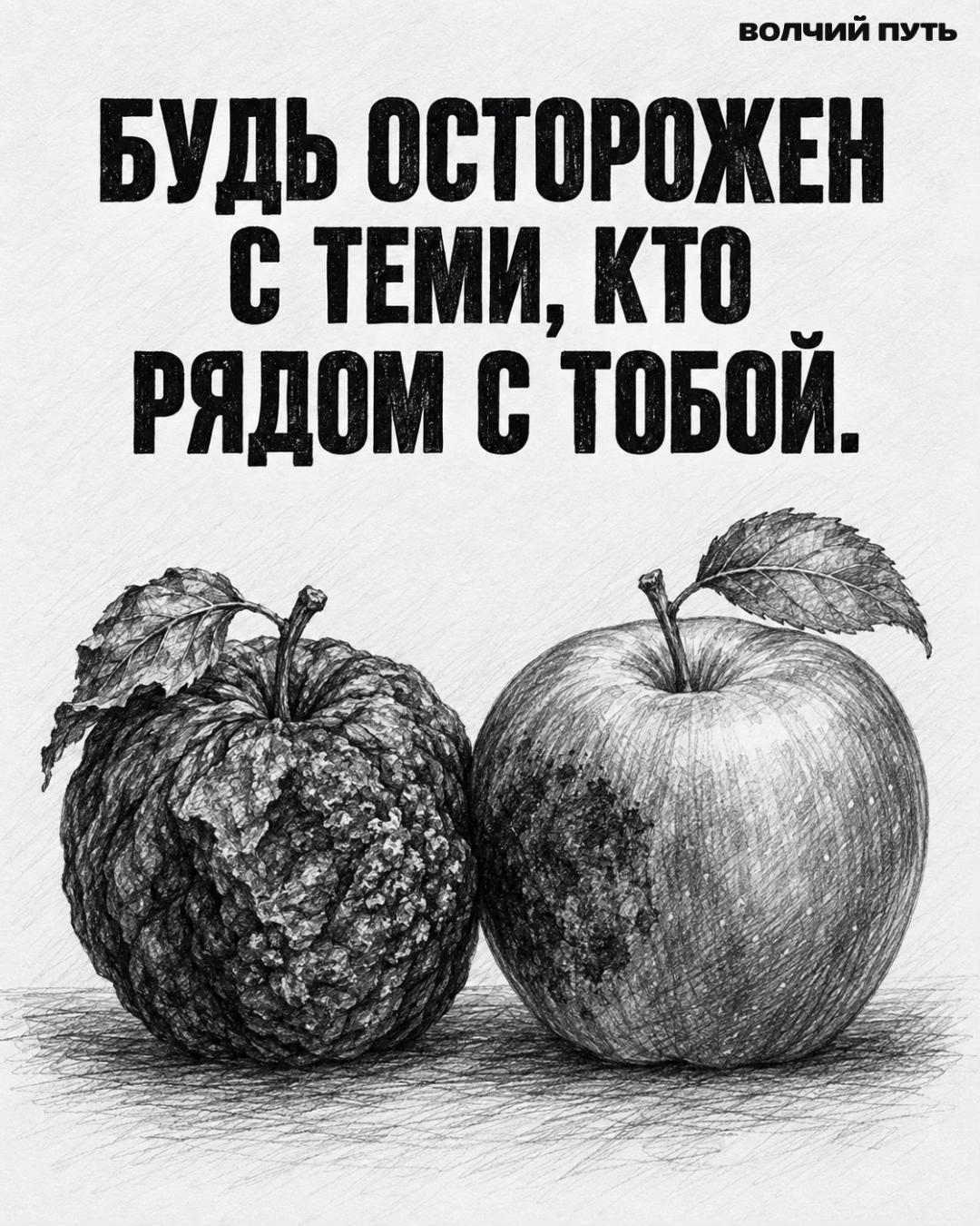 @Волчий Путь