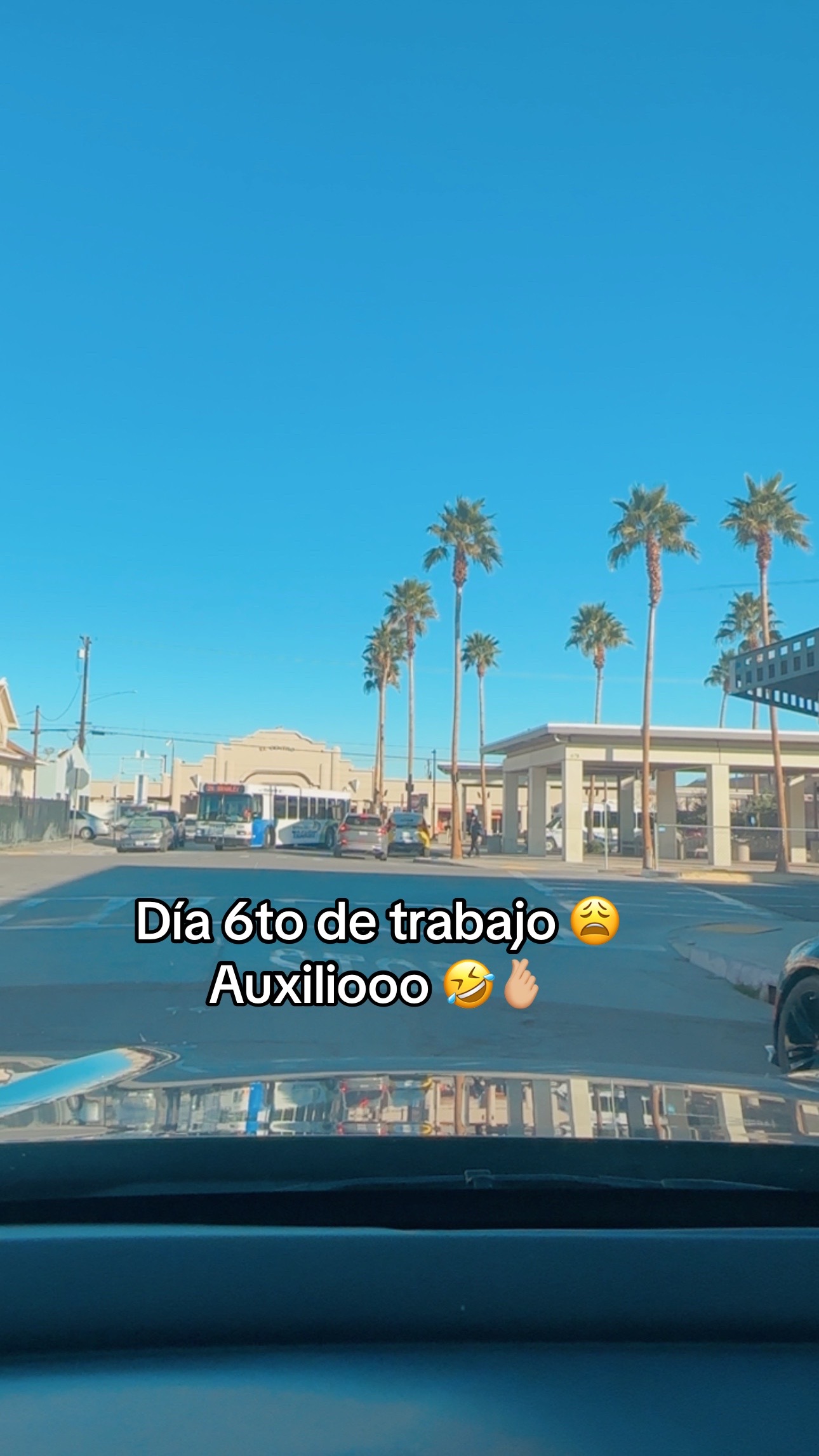 @Gabriela Serratos 🍉