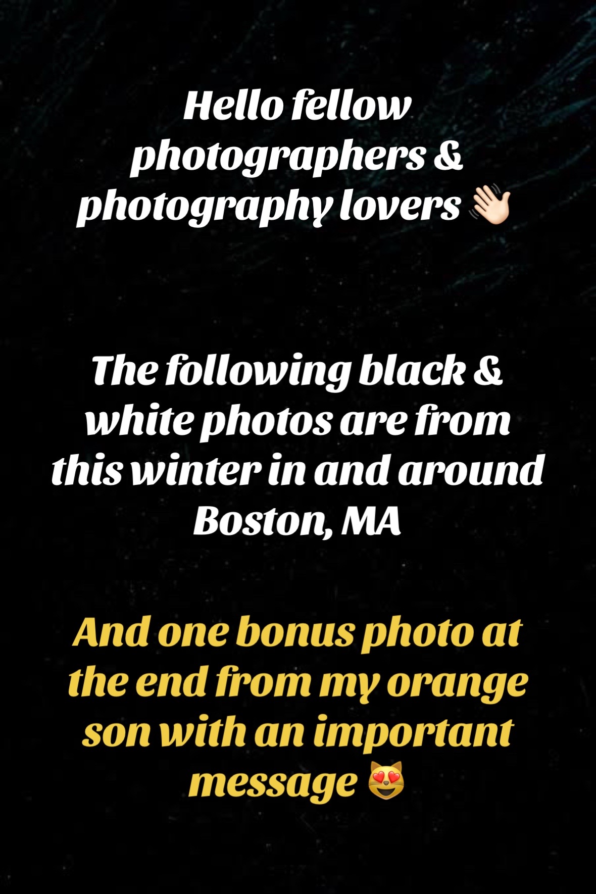 @kbeanephotos