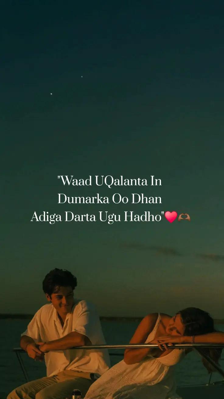 @MoHameTt🇩🇪