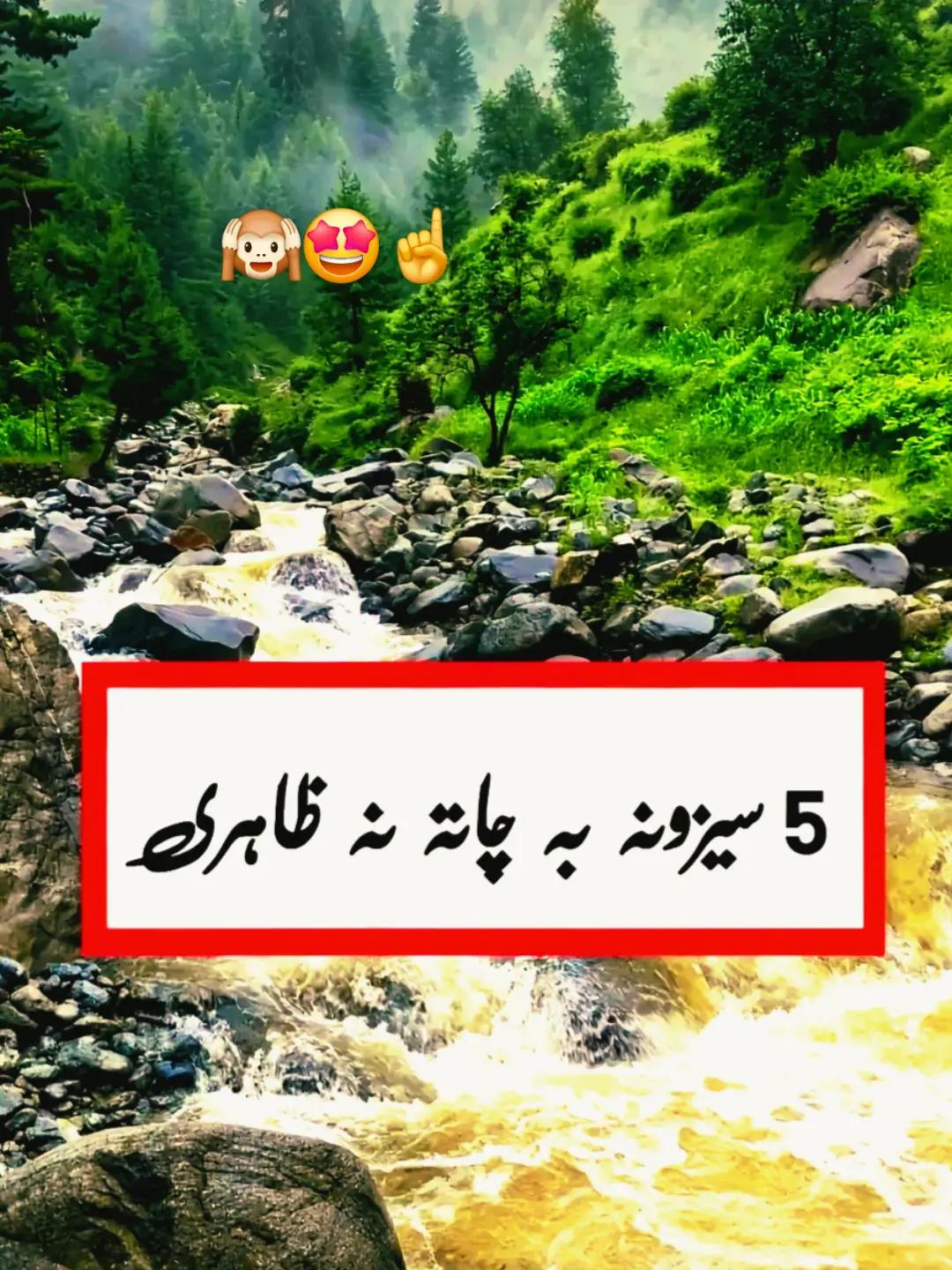 @@islamicvideotiktok341