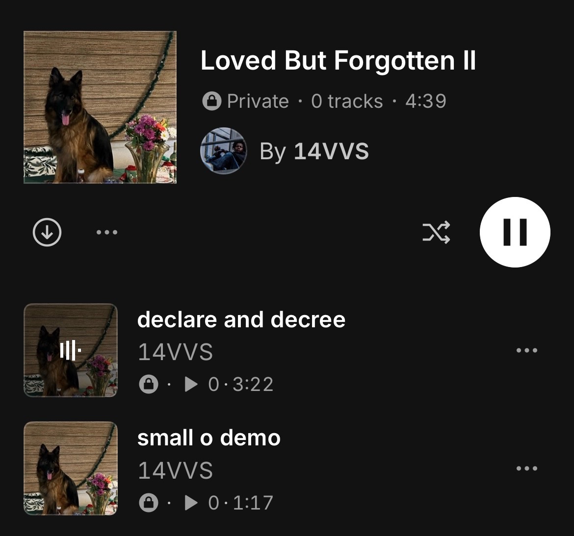 @14VVS