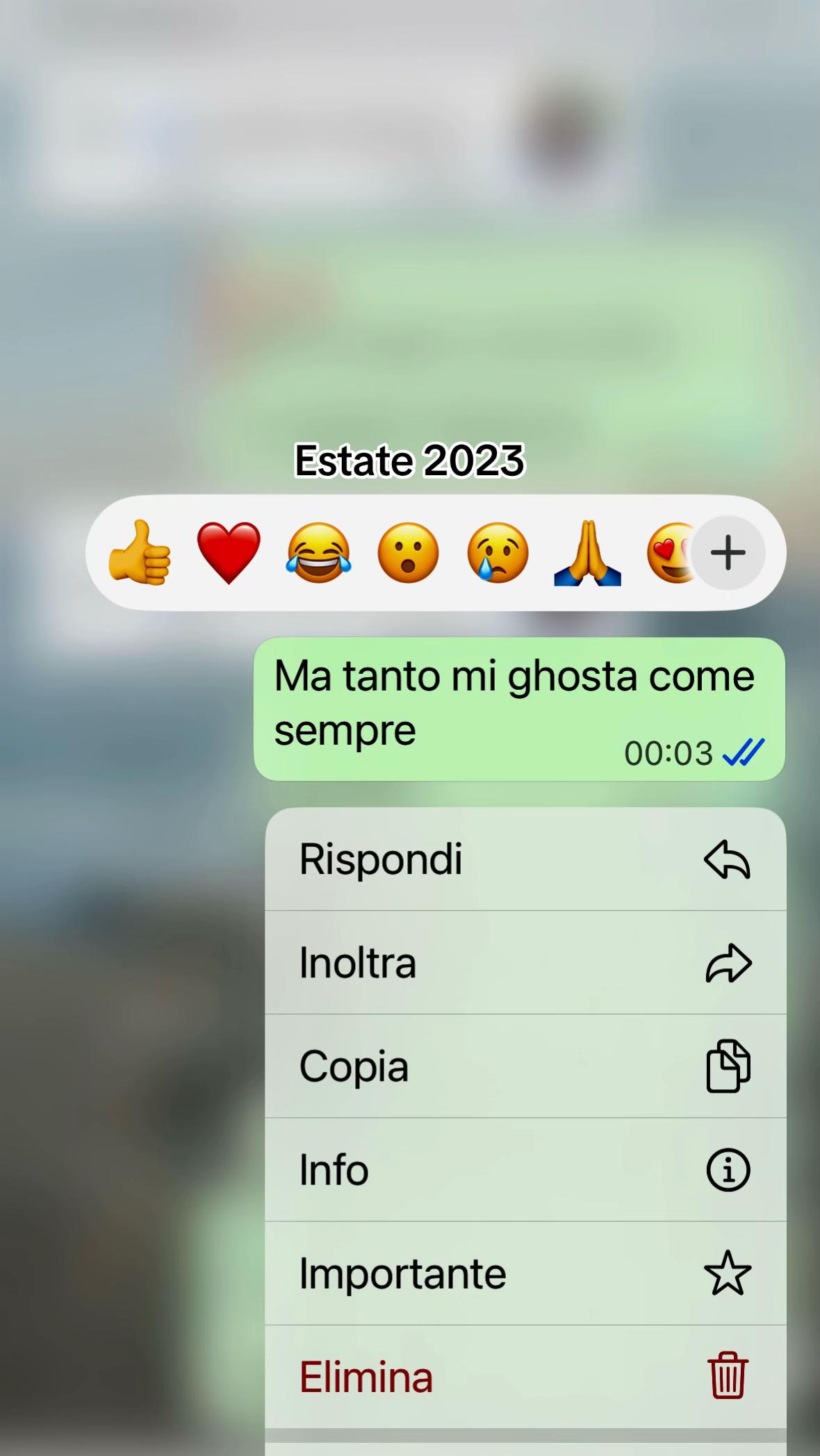 @stellinaturco