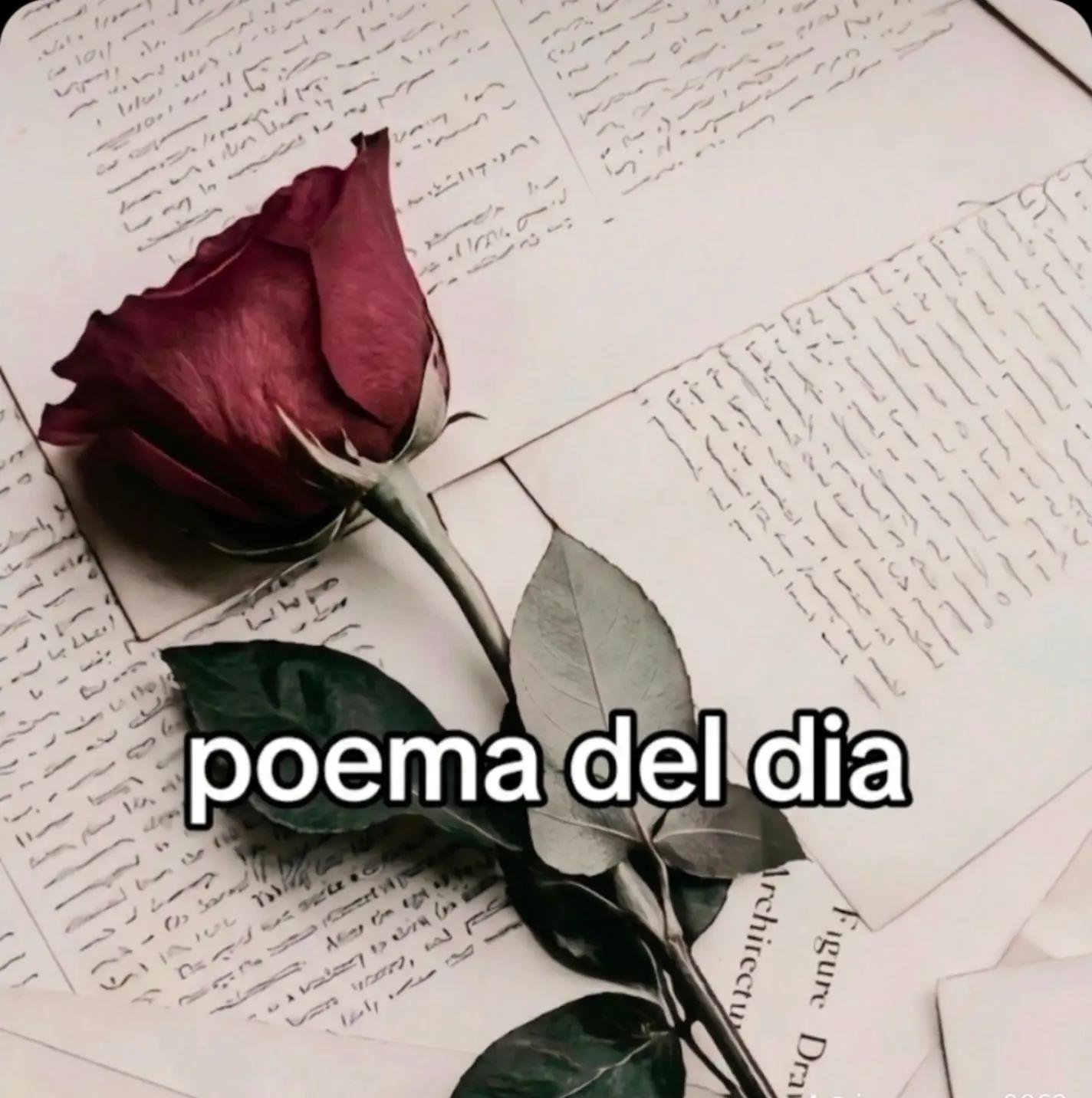 @🩶§ >Jaime<§🩶