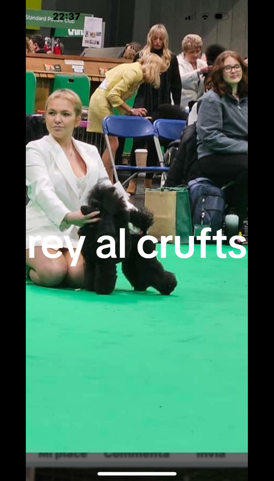 @nadia lasagni