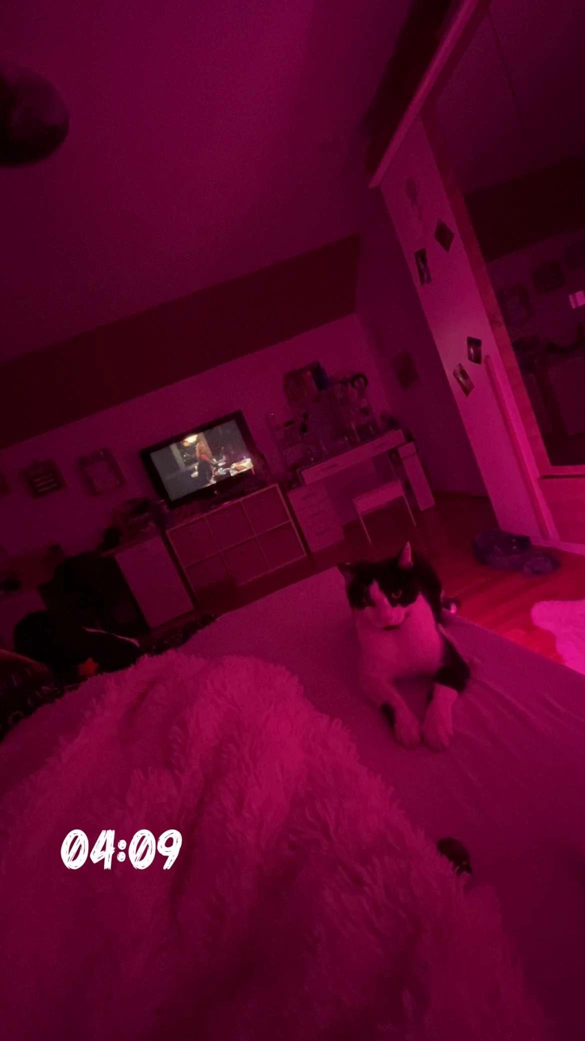 @saraa