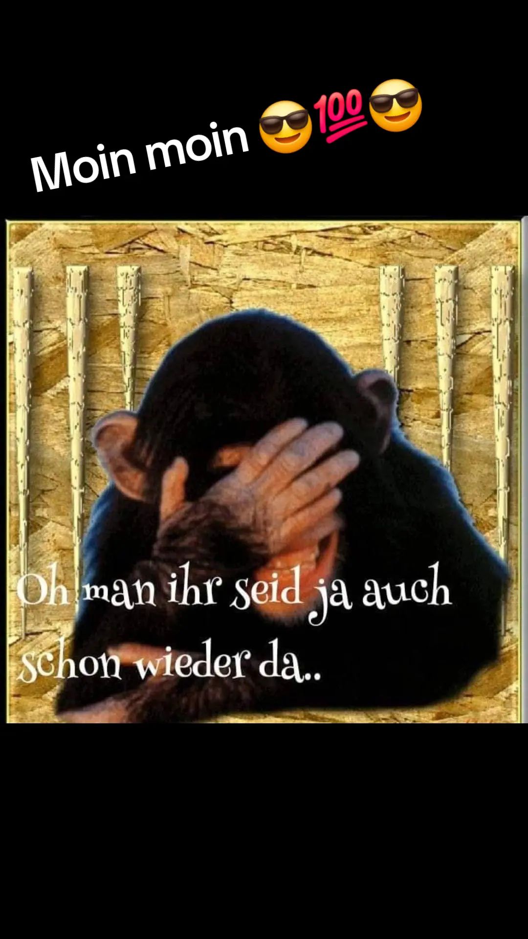 @Bär