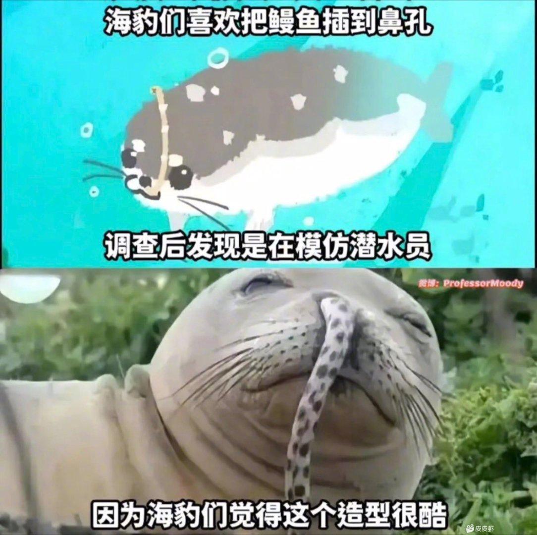 @晃晃悠悠