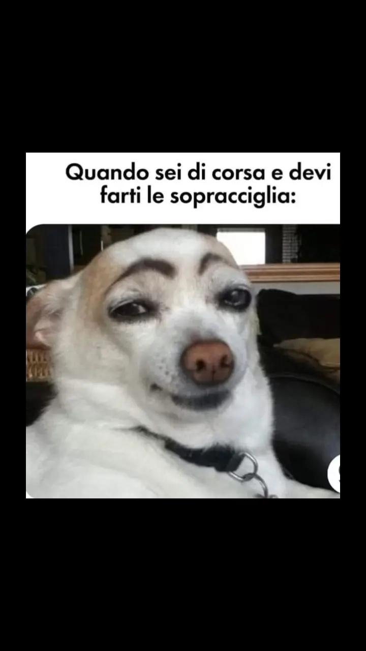 @Vedova Nera 🕷️2