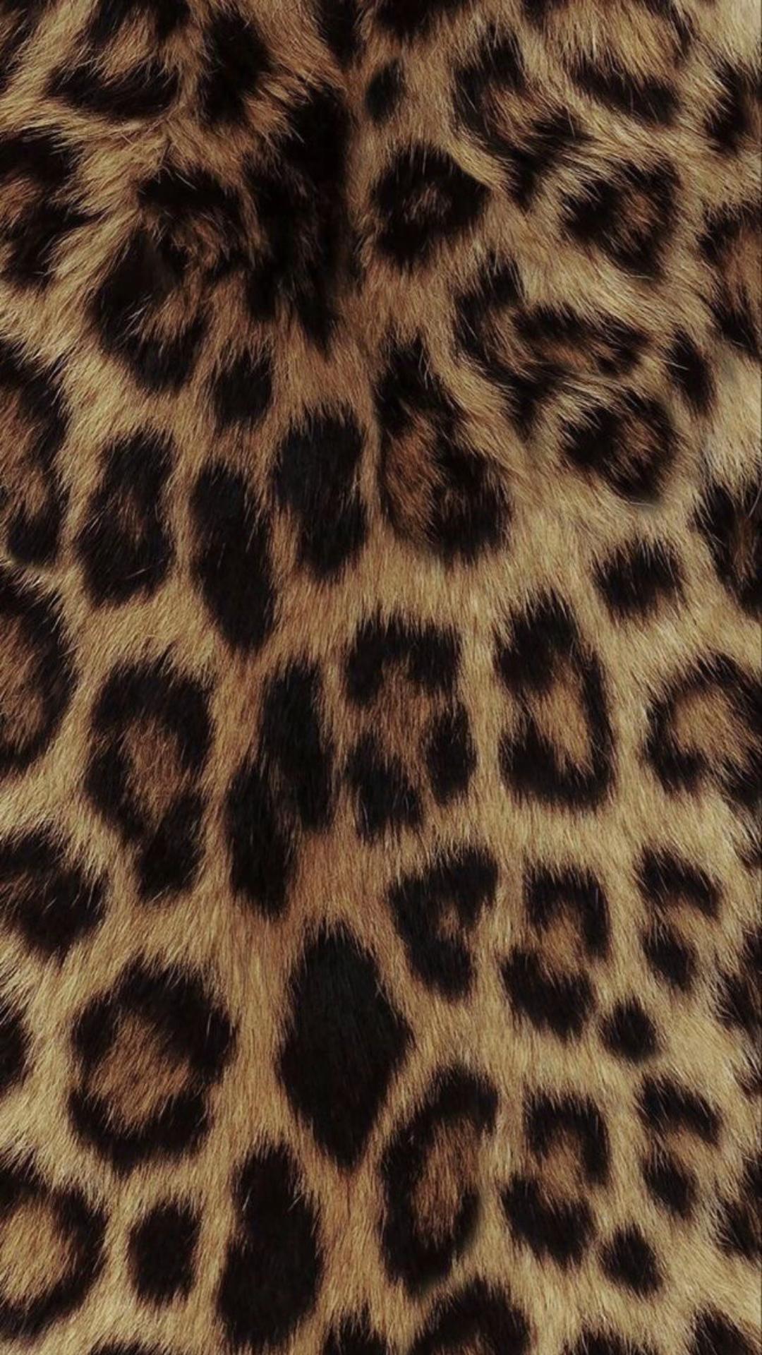 @sofispamm