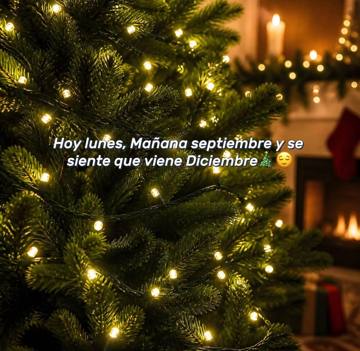 @Siempre Navidad