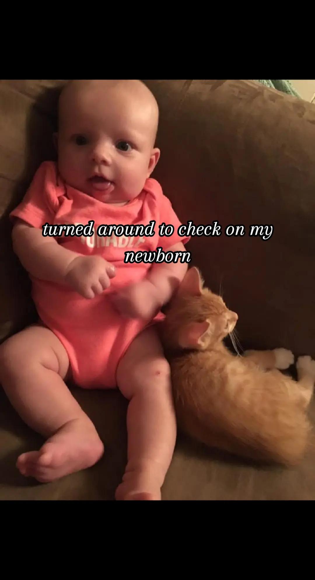 @Sierra Rose