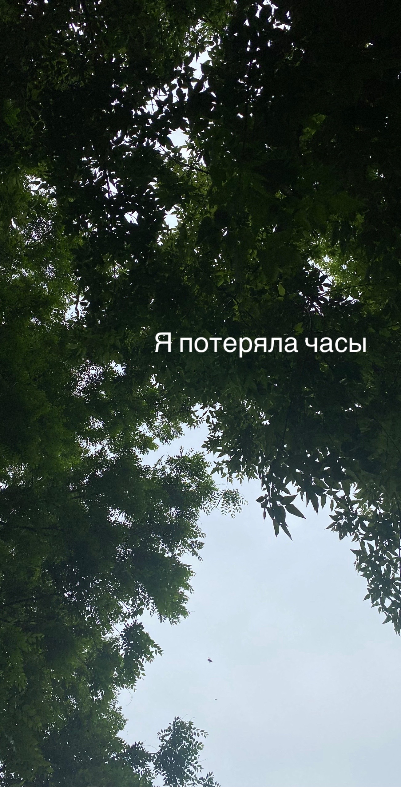 @Минел но не твая