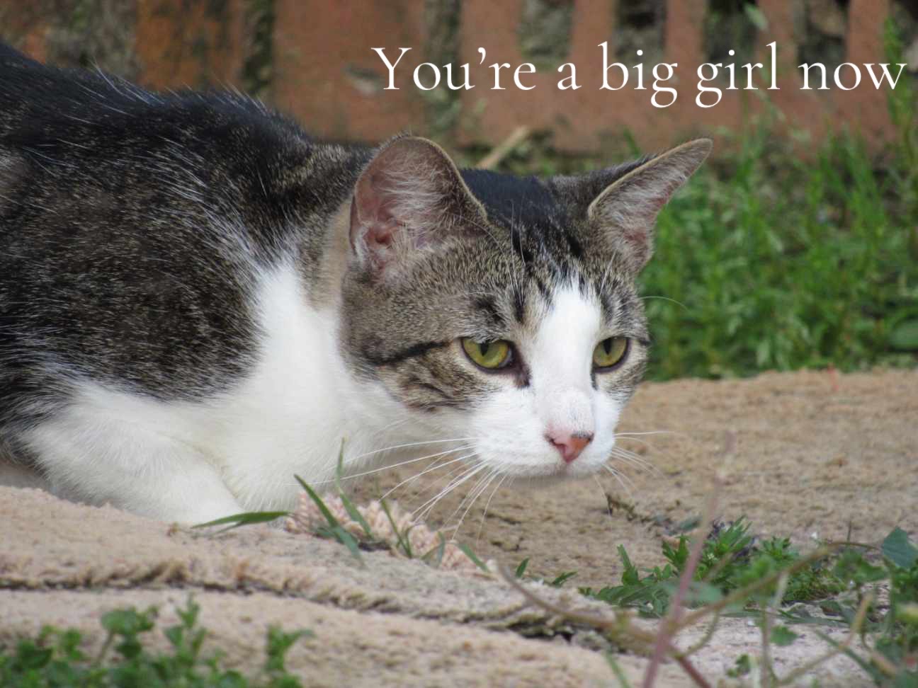 @Kris<3