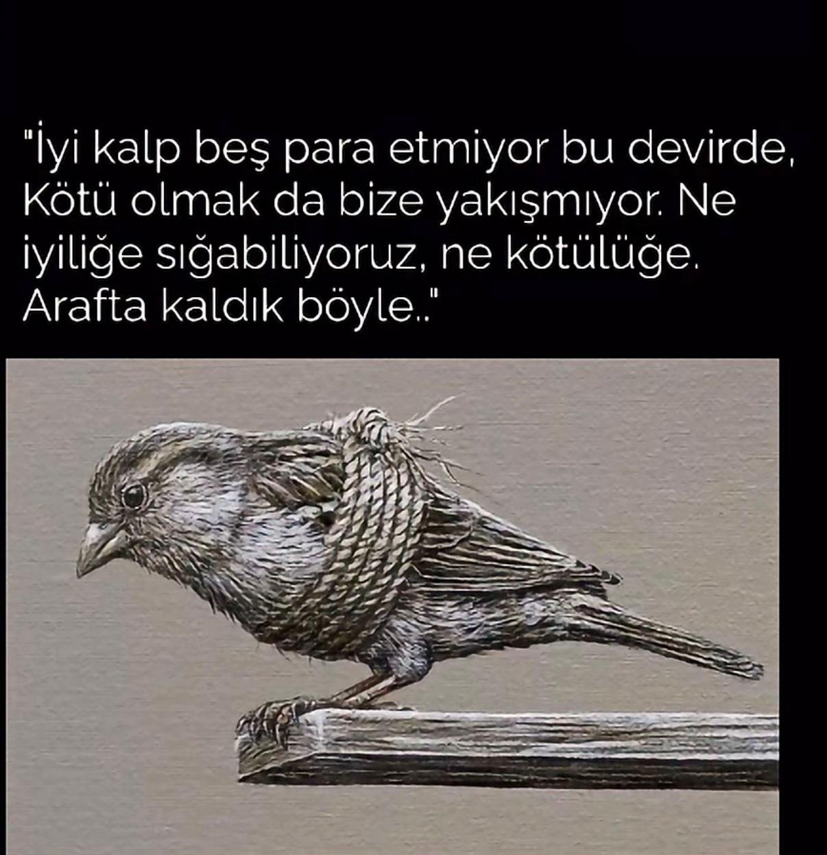 @🌻🇹🇷Reva🇩🇪🌻