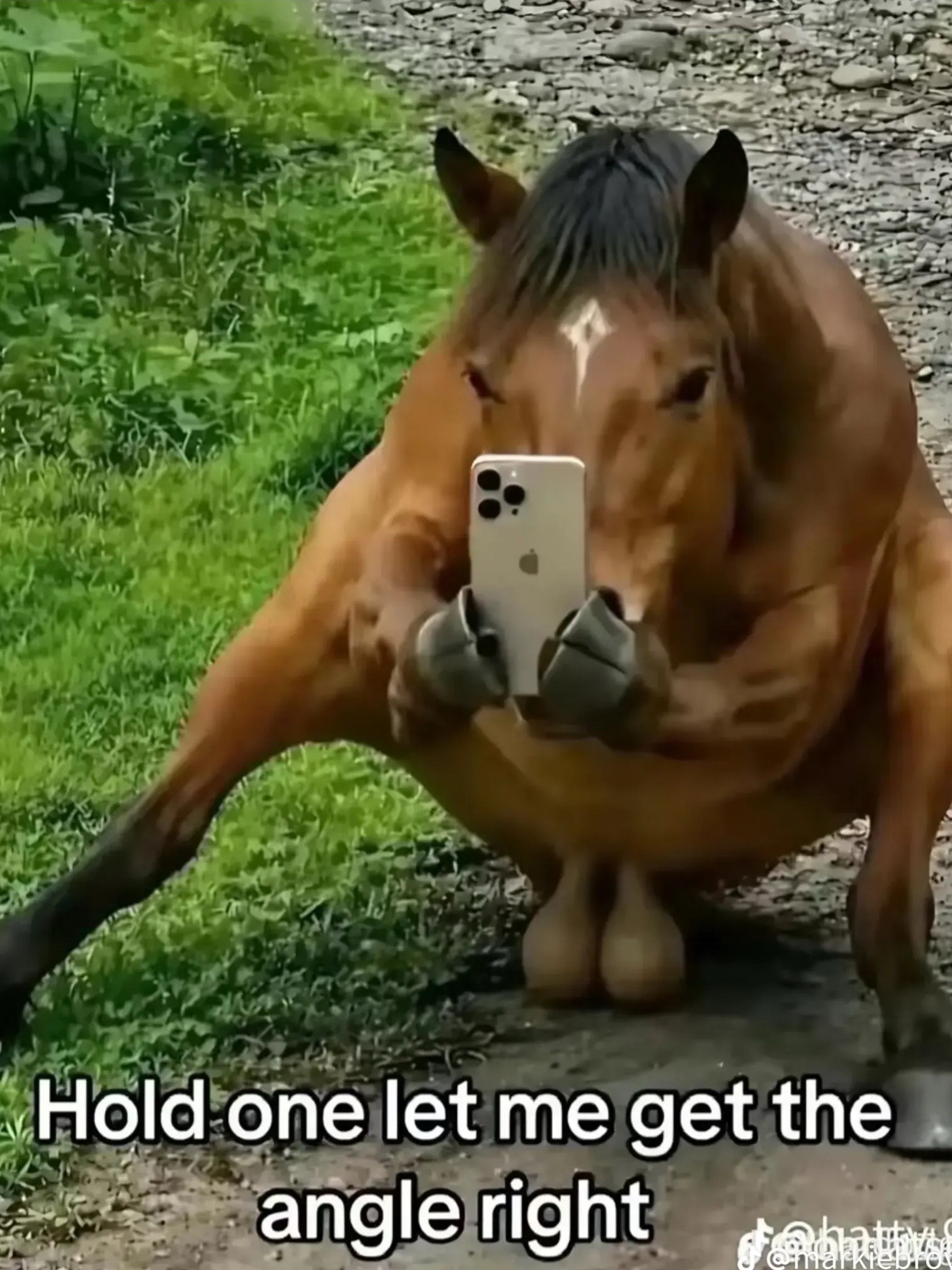 @Pinball_Machine