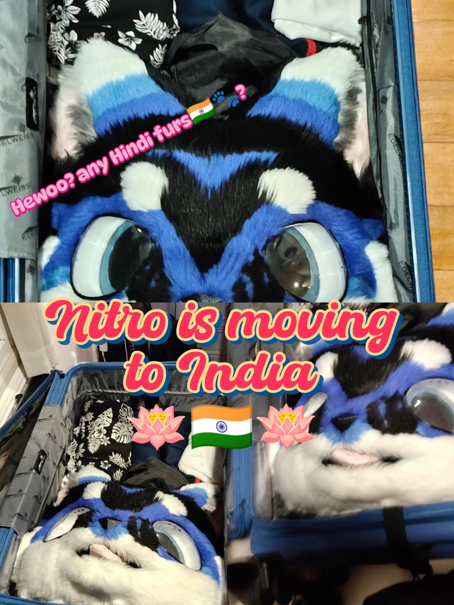 @///Nitro///