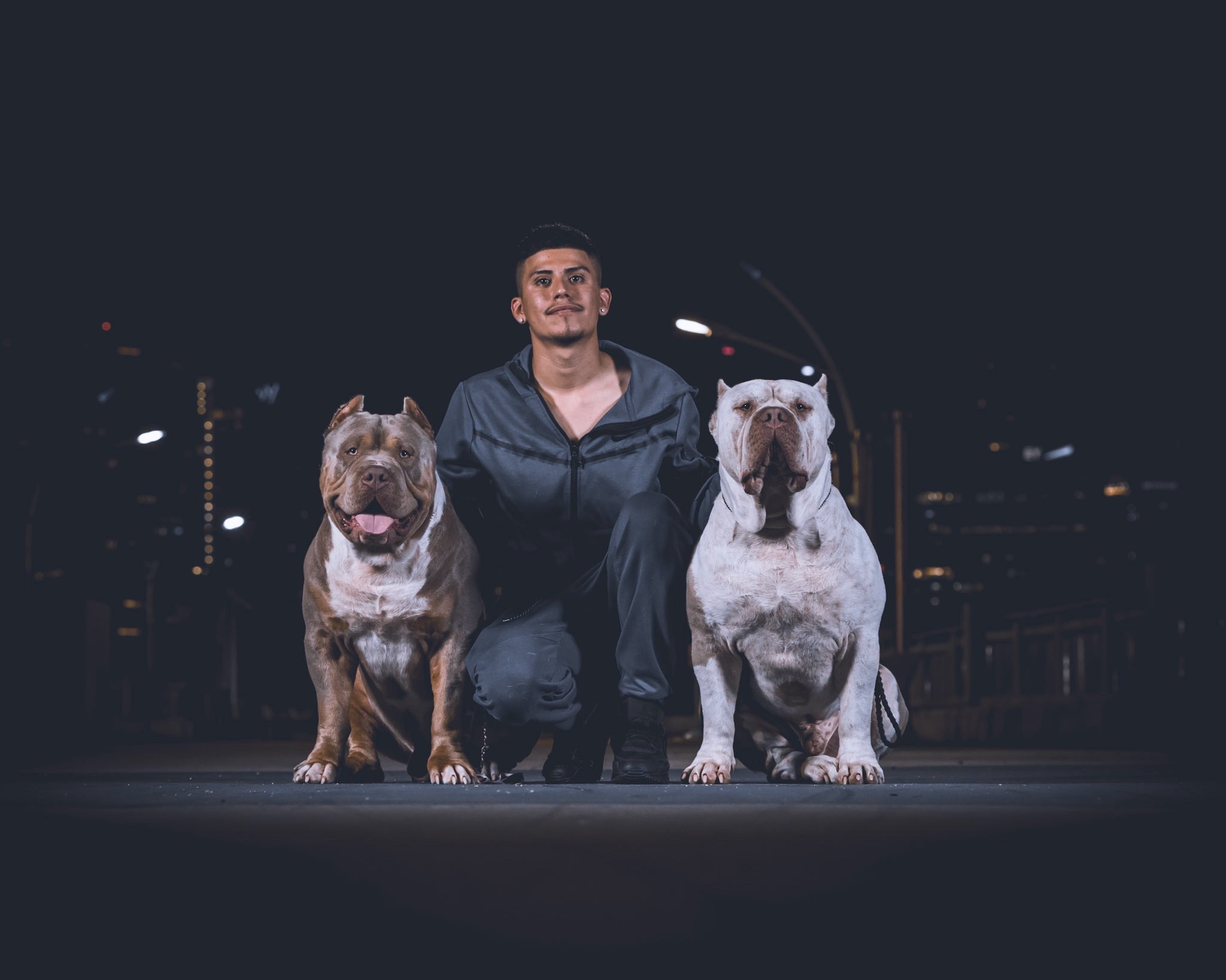 @Dtx_dogkennels