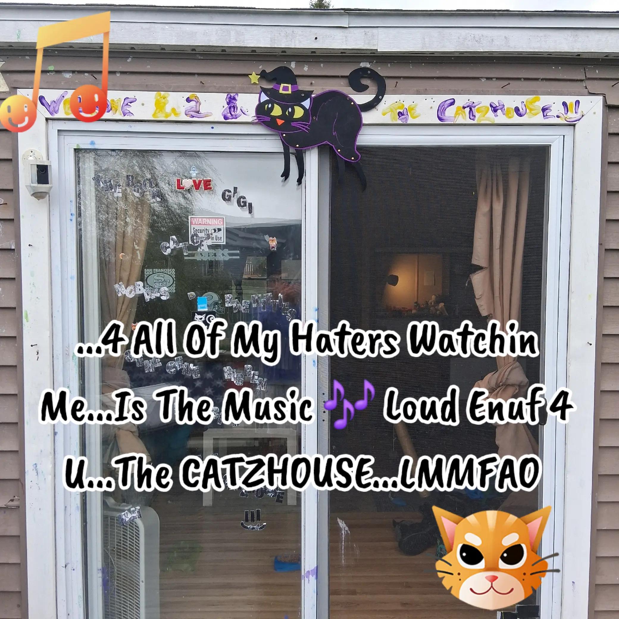 @Booh Hovey crazycatlady3