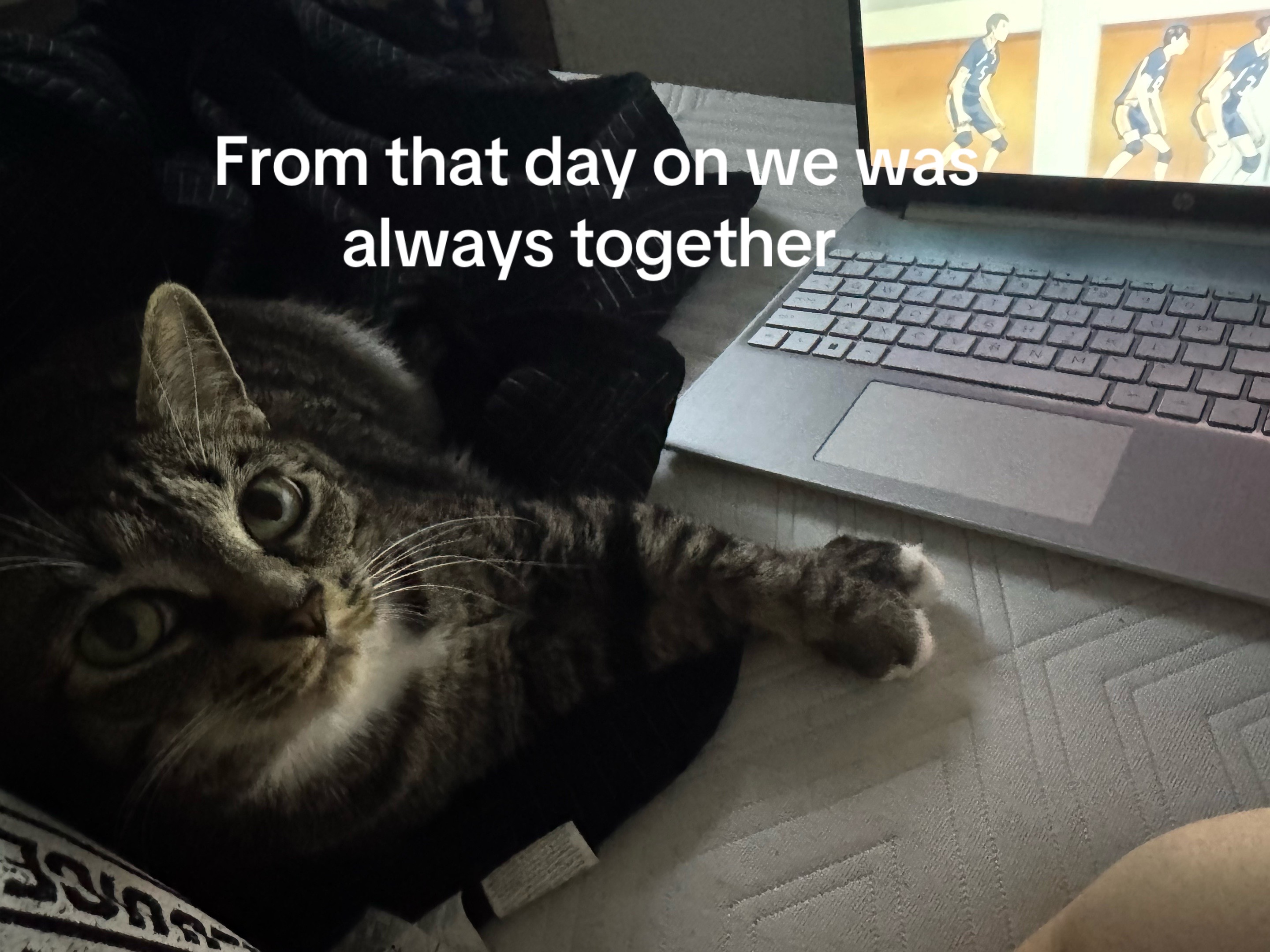 @Farrah luna
