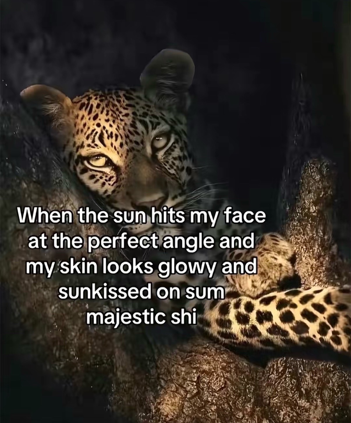 @Jessica