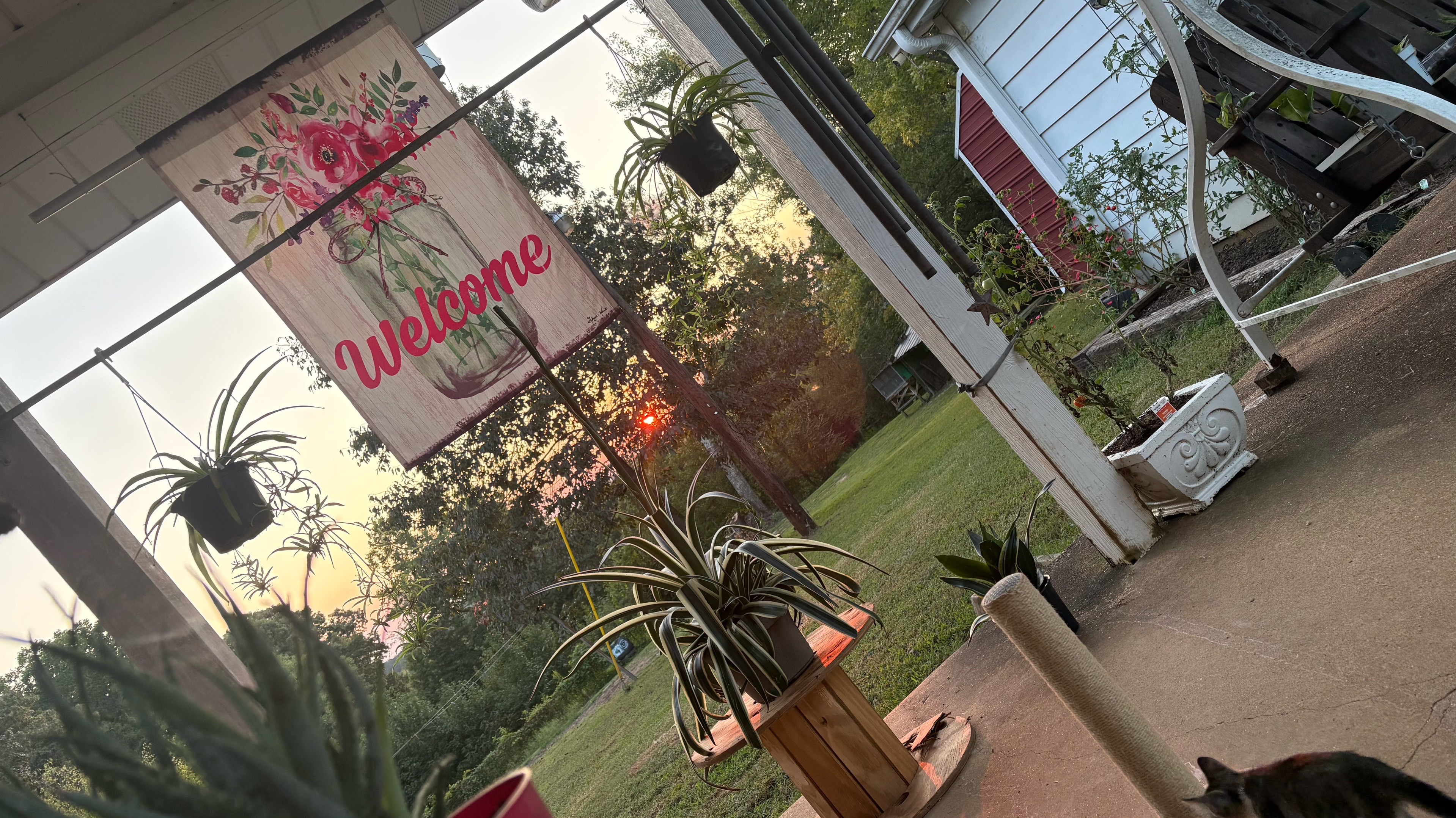 @Its.MeganLeigh731