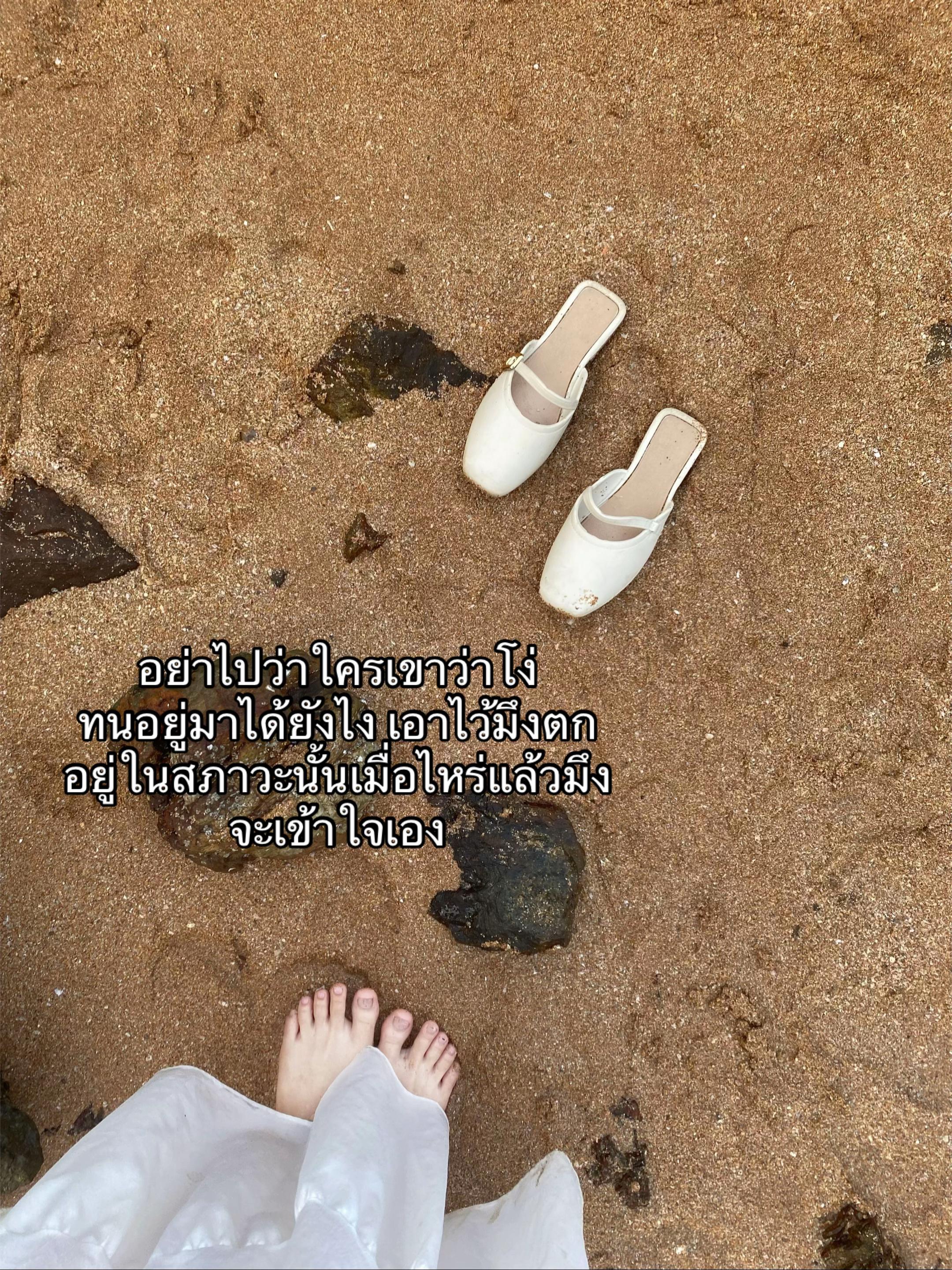 @ไม่ชอบกะทิ🤷🏻♀️