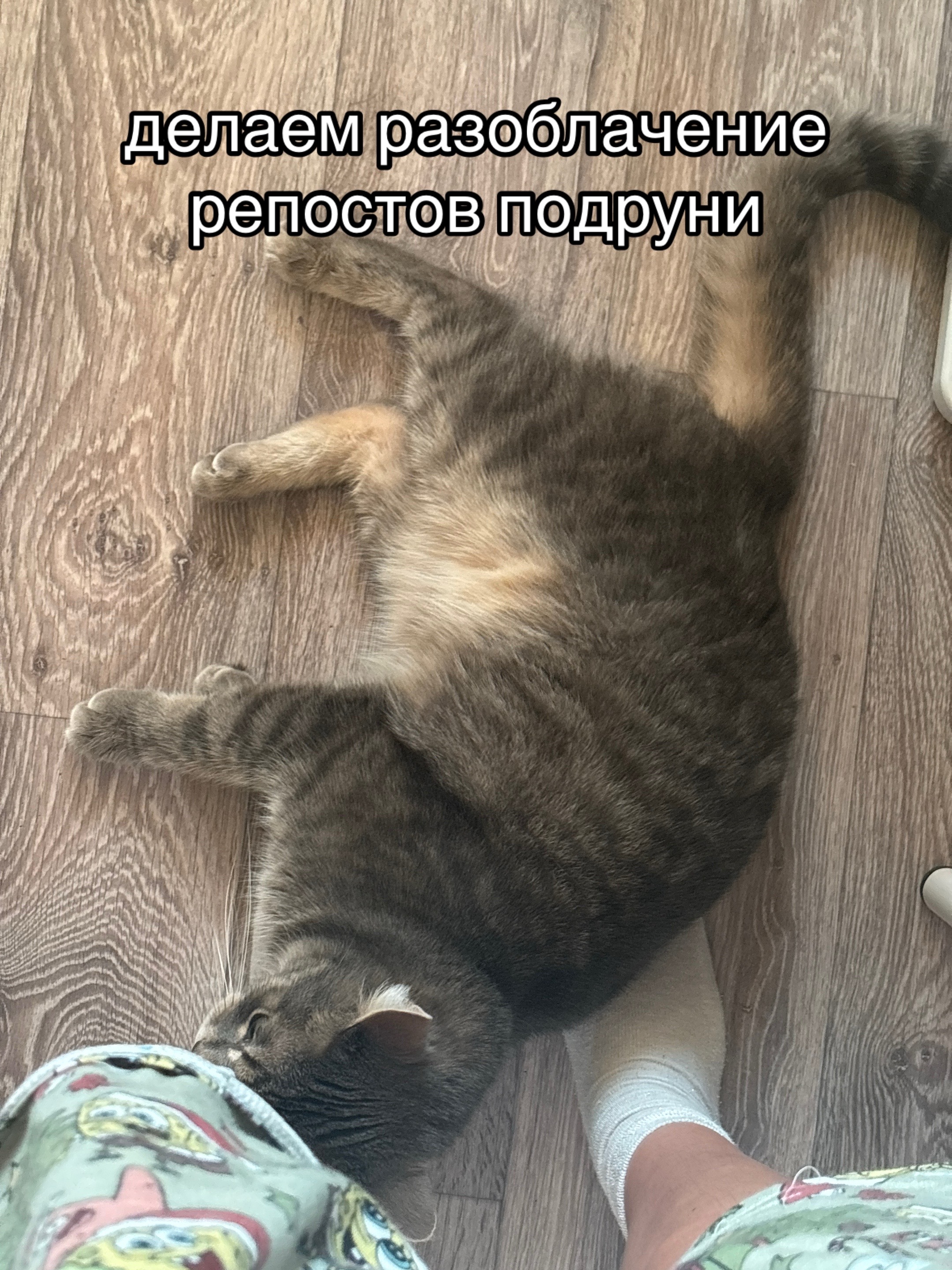 @ралинка💕