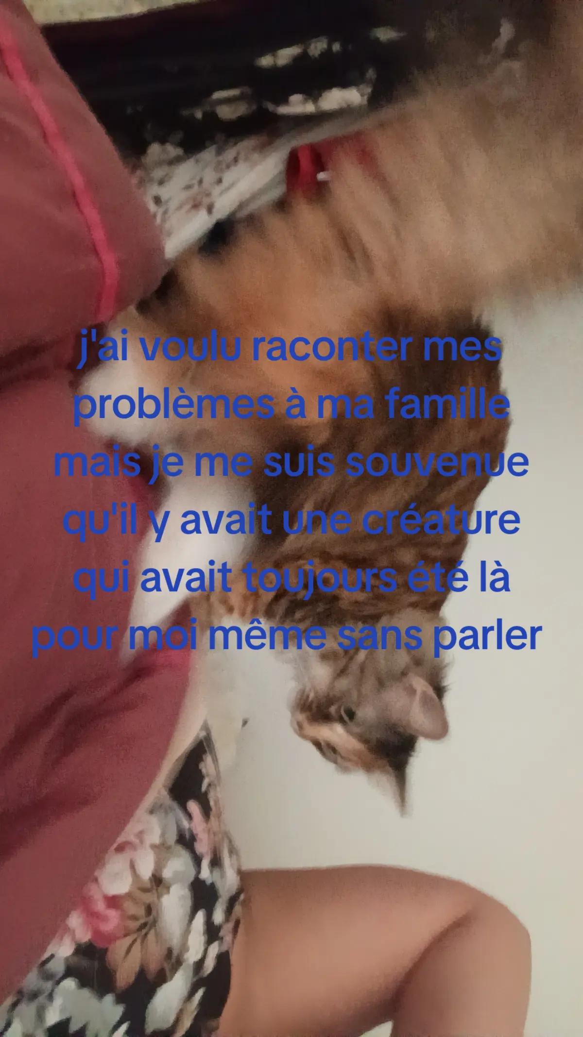 @Ludycine⭐️