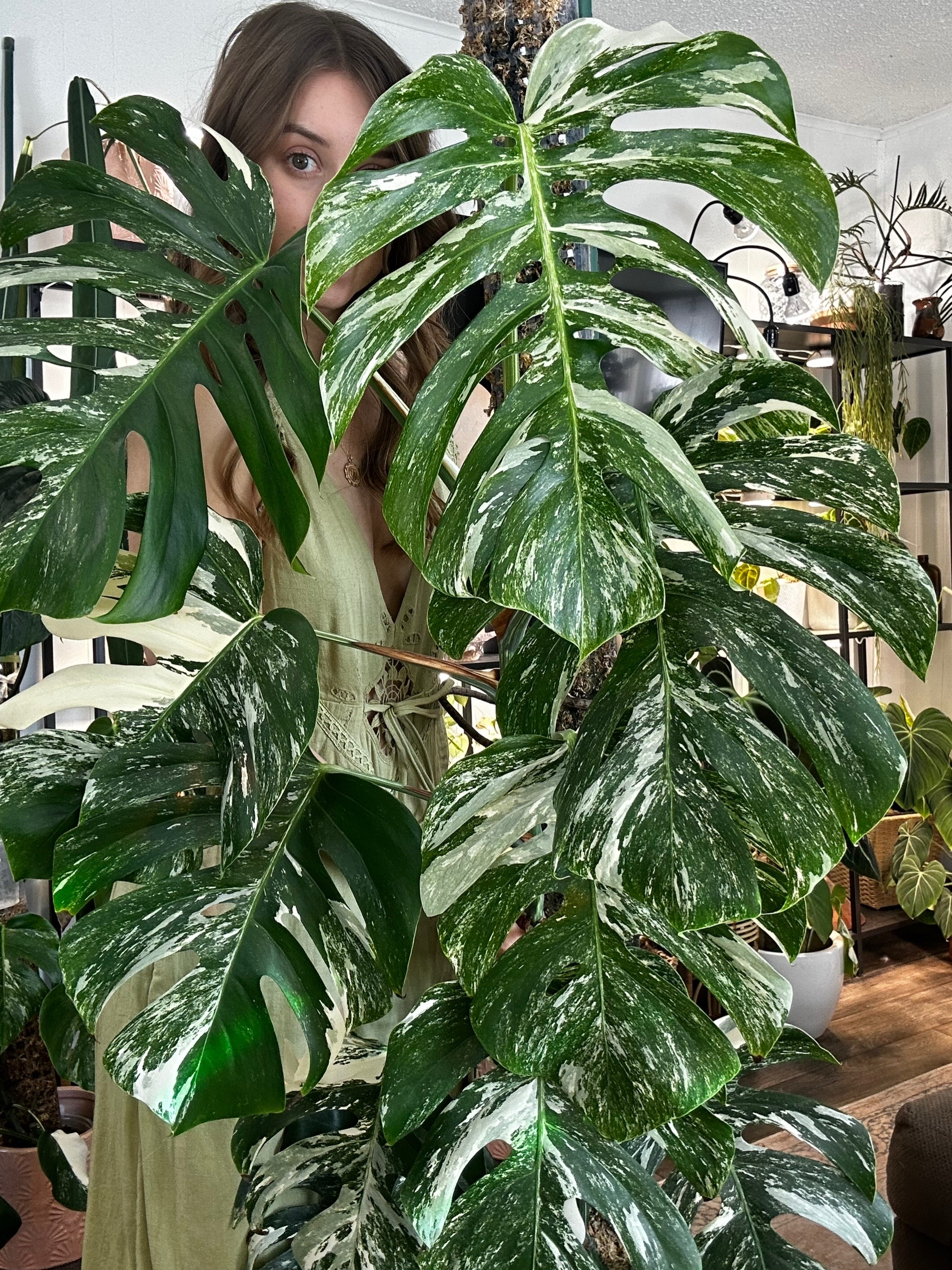 @theplantgirl_diaries