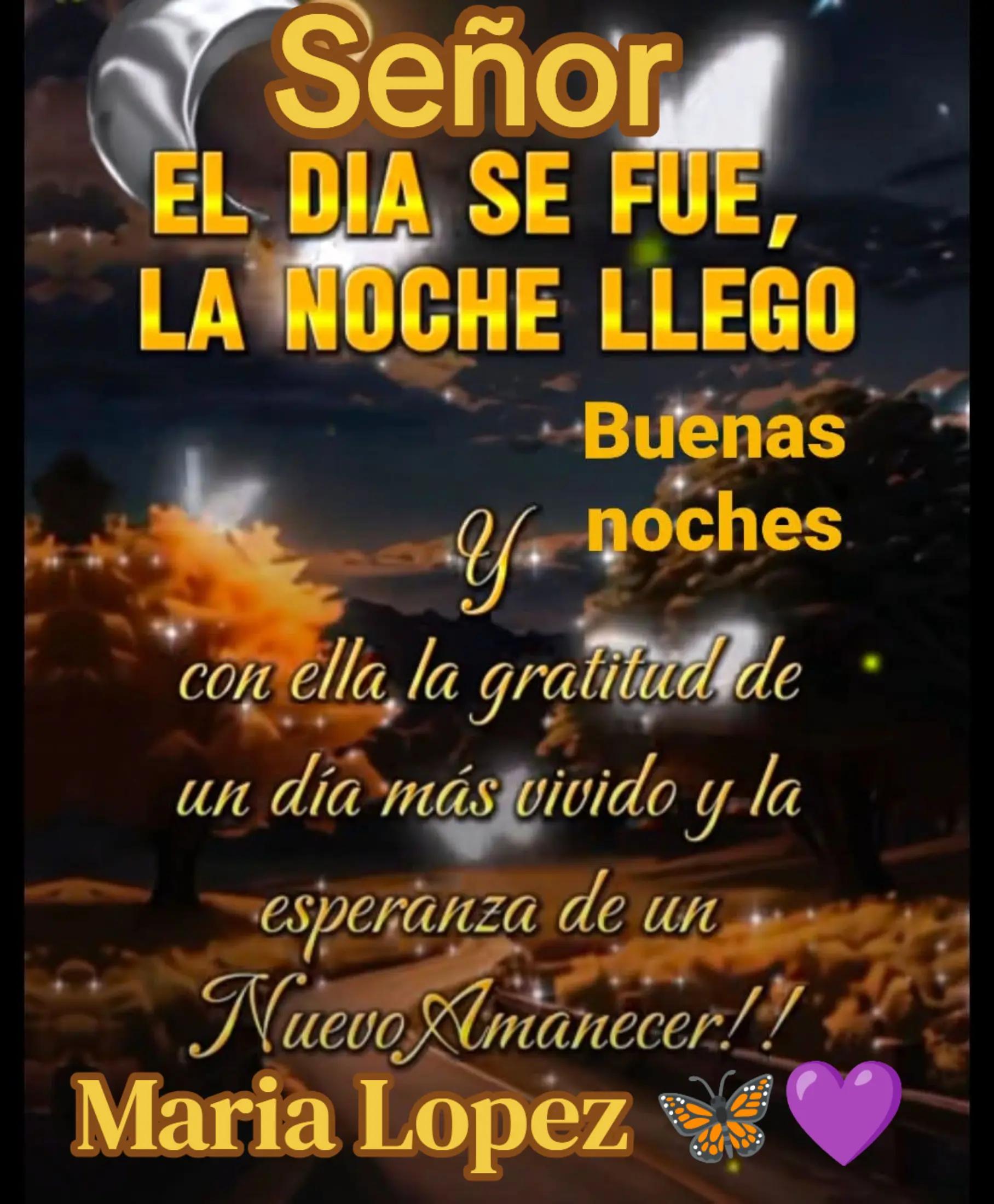 @8Mariposas8