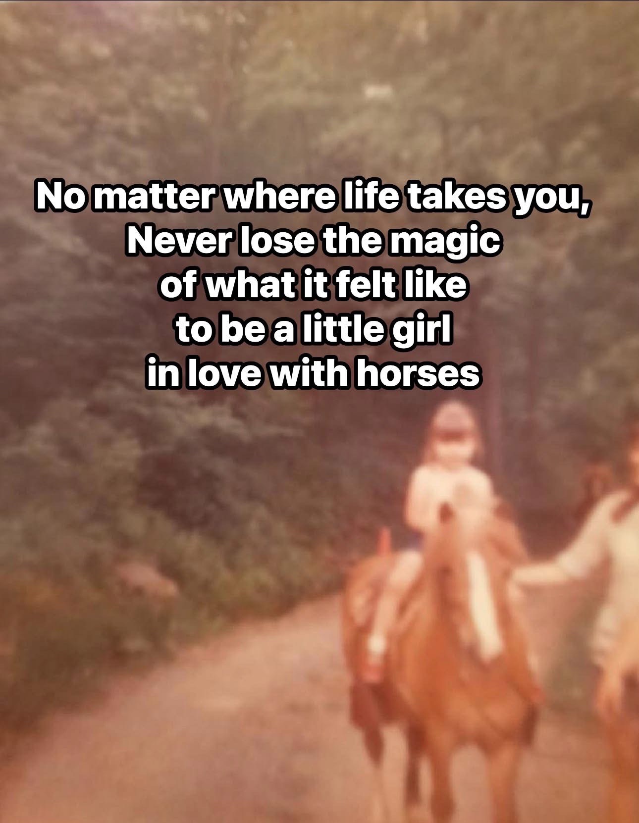 @Horselife