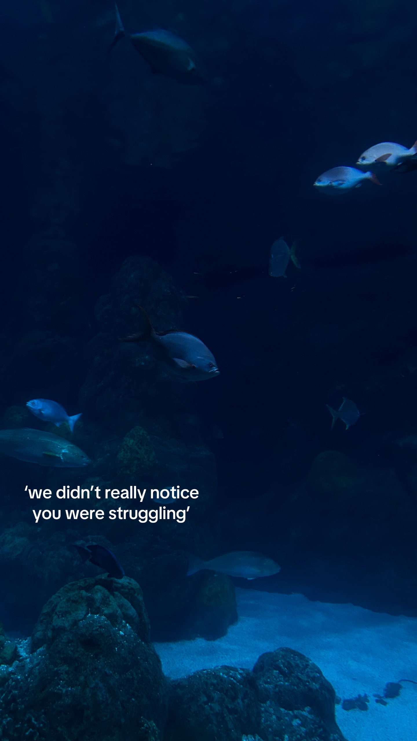 @11:11