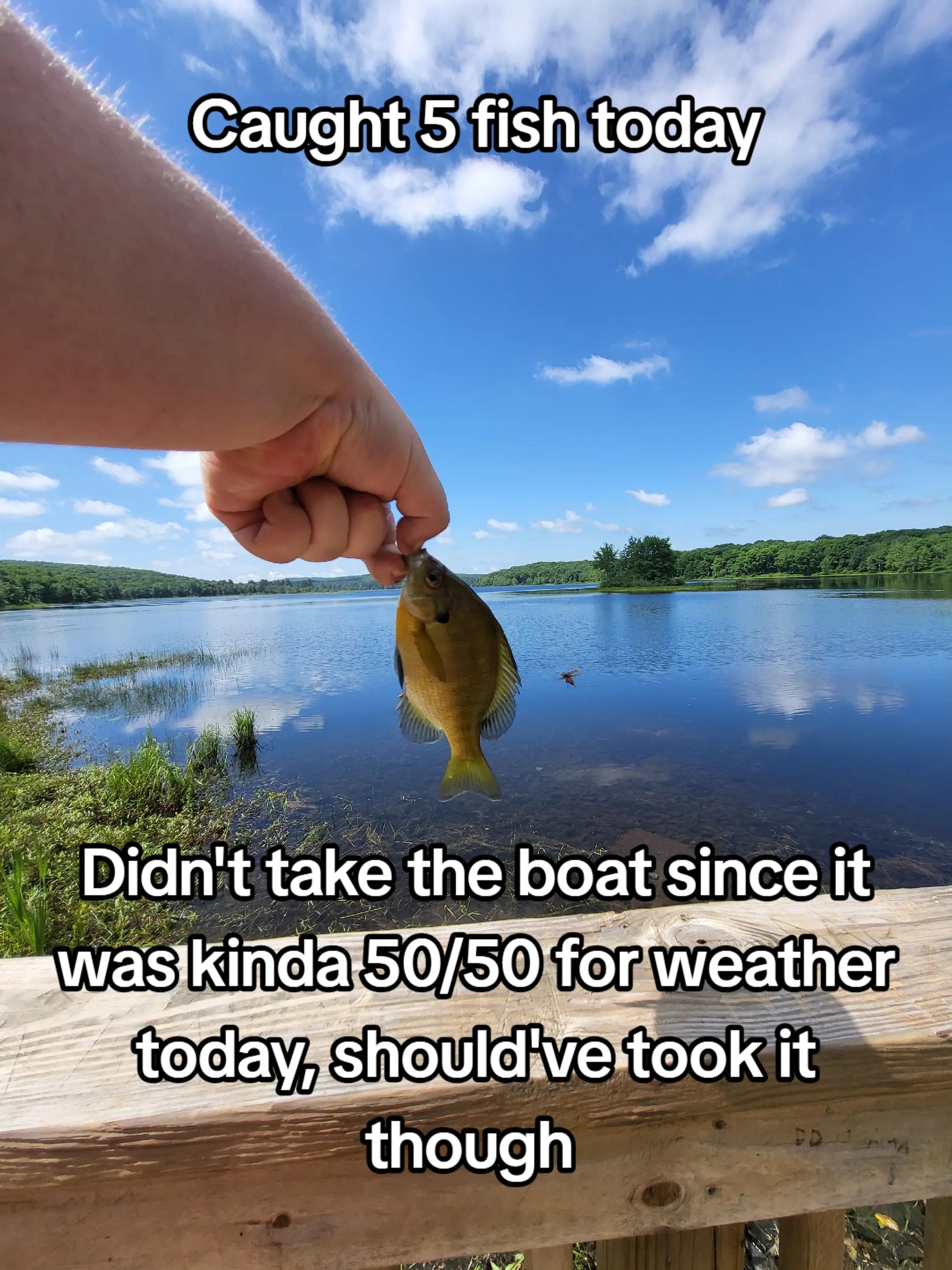 @TheReelLife