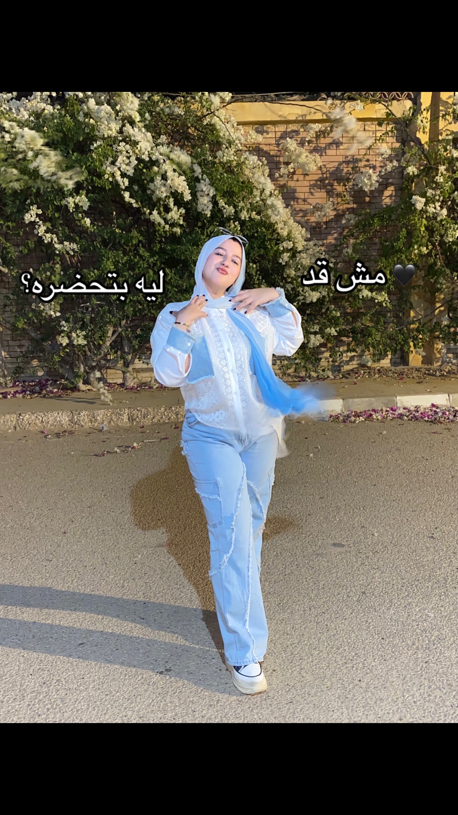 @Hi, I’m mony🐬
