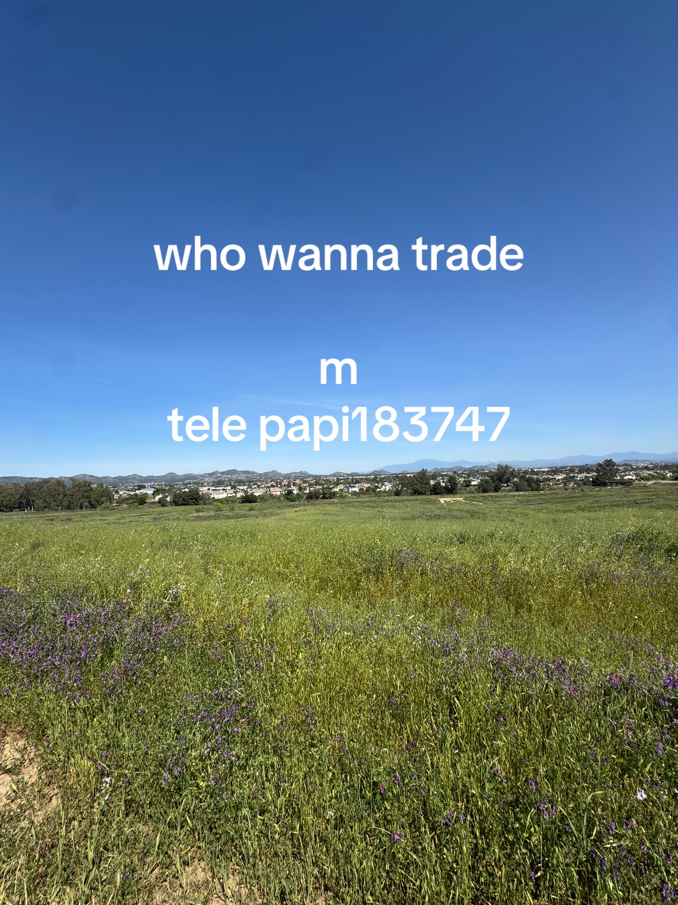 @trading