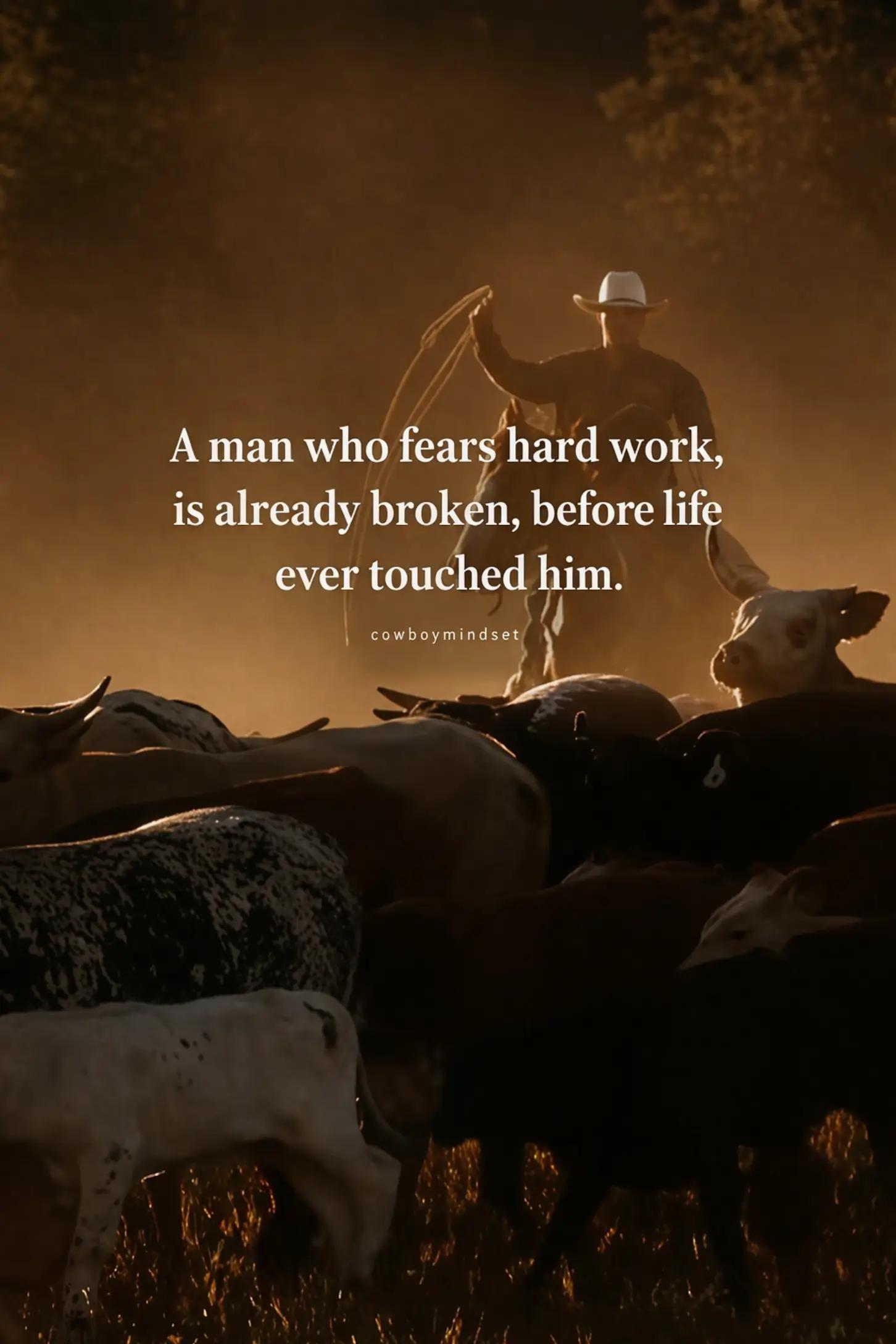 @Cowboy Mindset