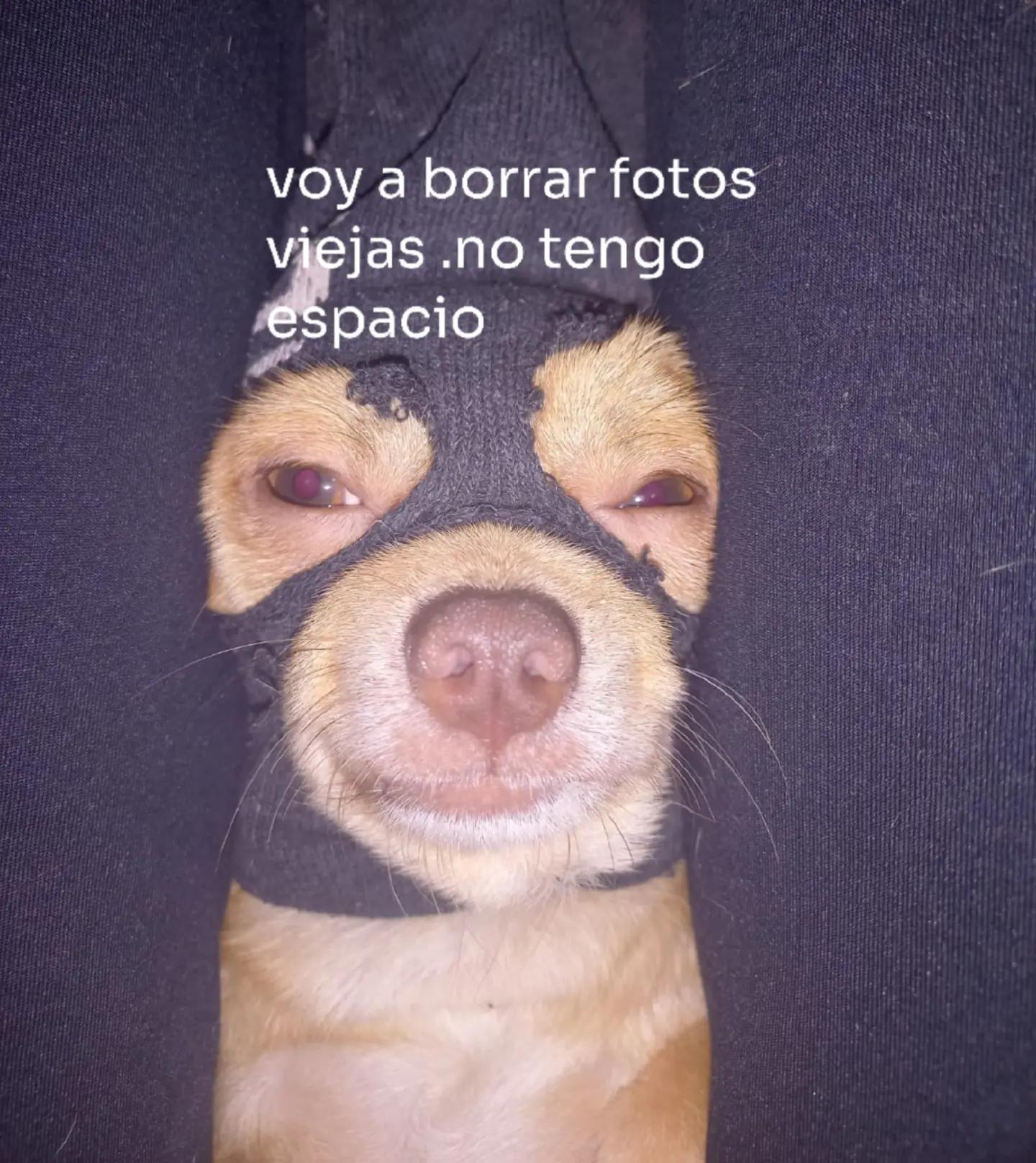 @SoyRamiroG