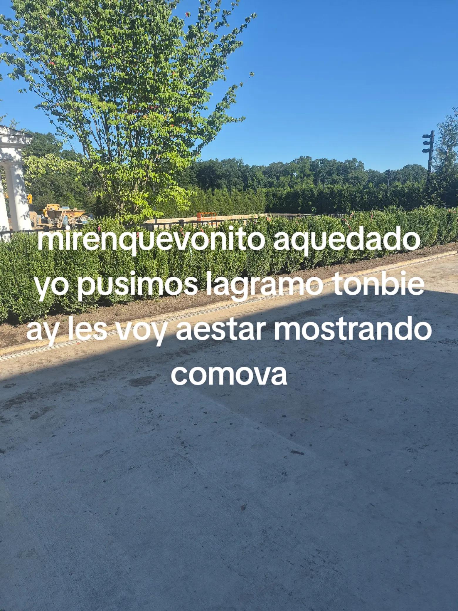 @hernan navarete