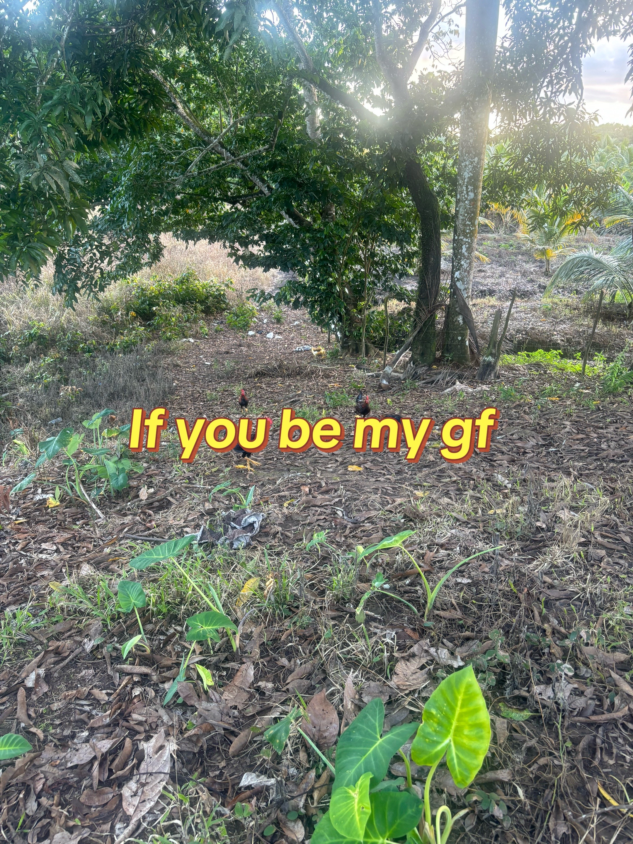 @Bryan