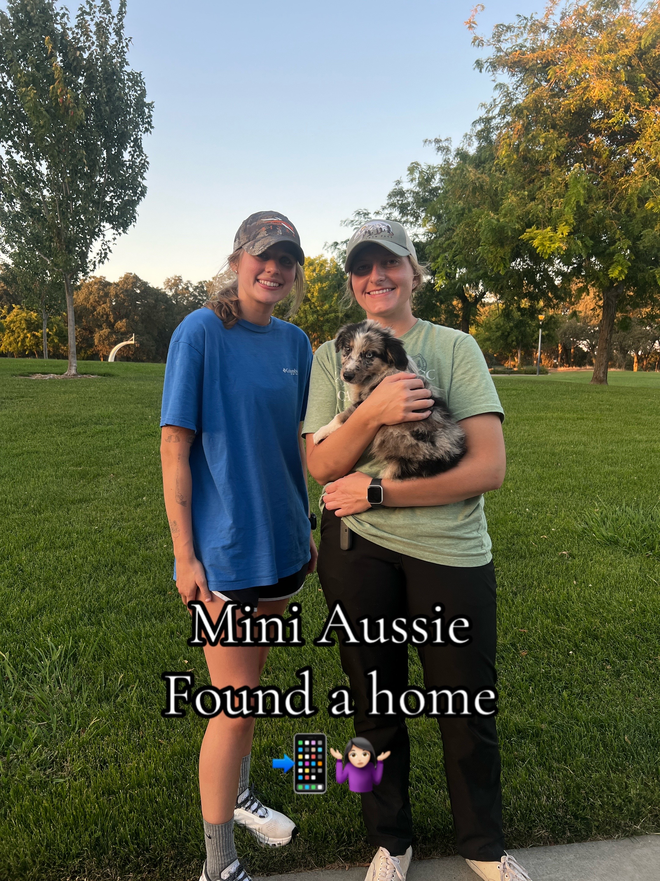 @sacramento__aussies916