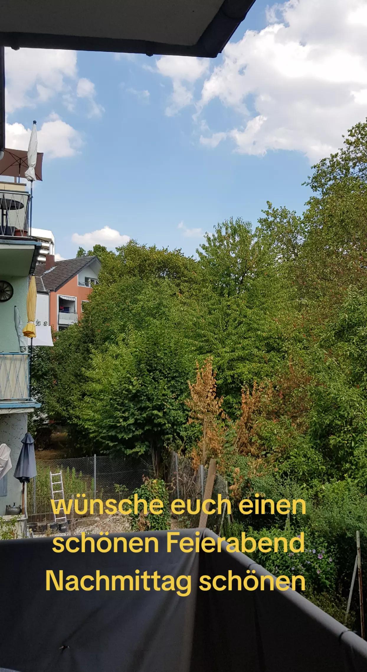 @stefangeilhausen3