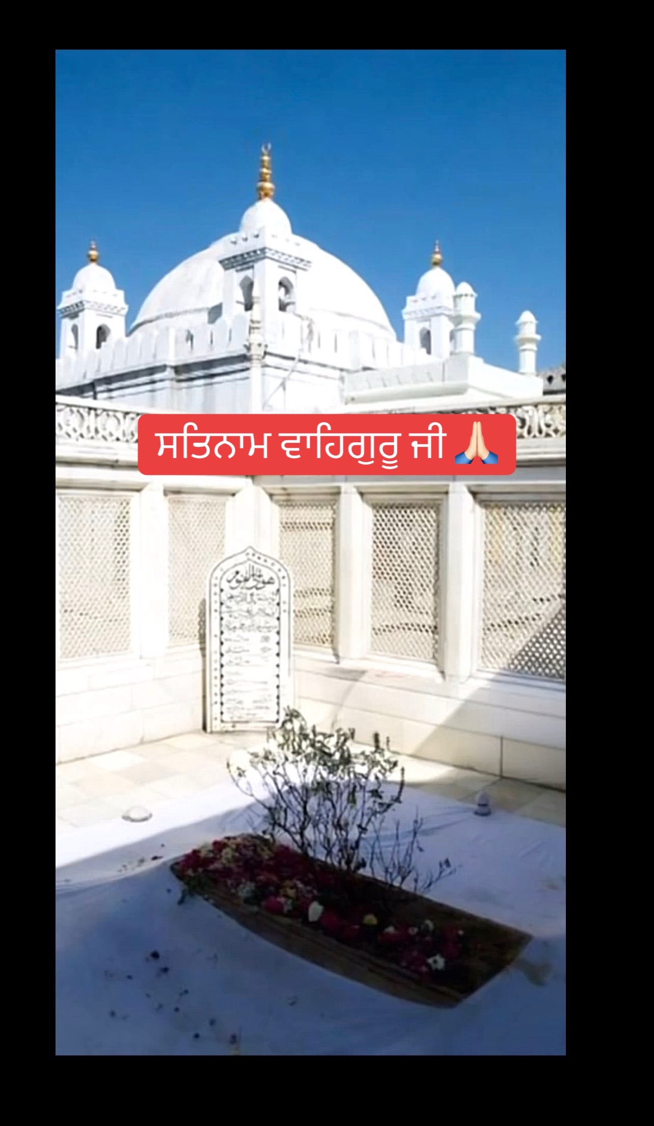 @Anna Ghotra